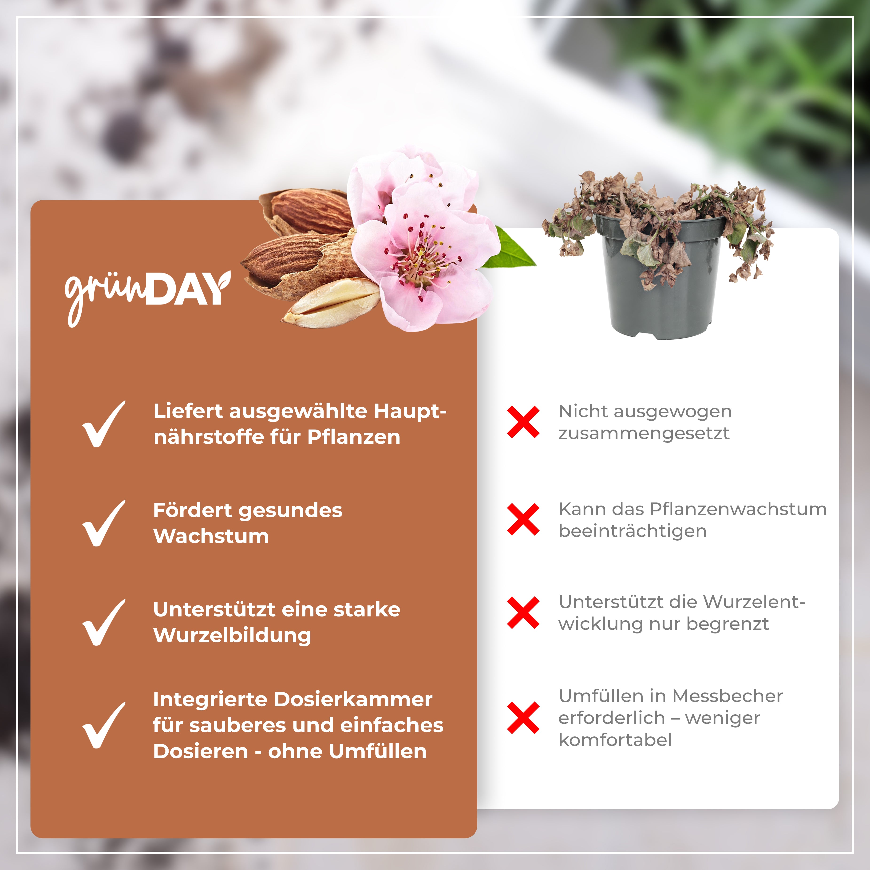 Gründay Mandelbaum Dünger – Produktansicht 6