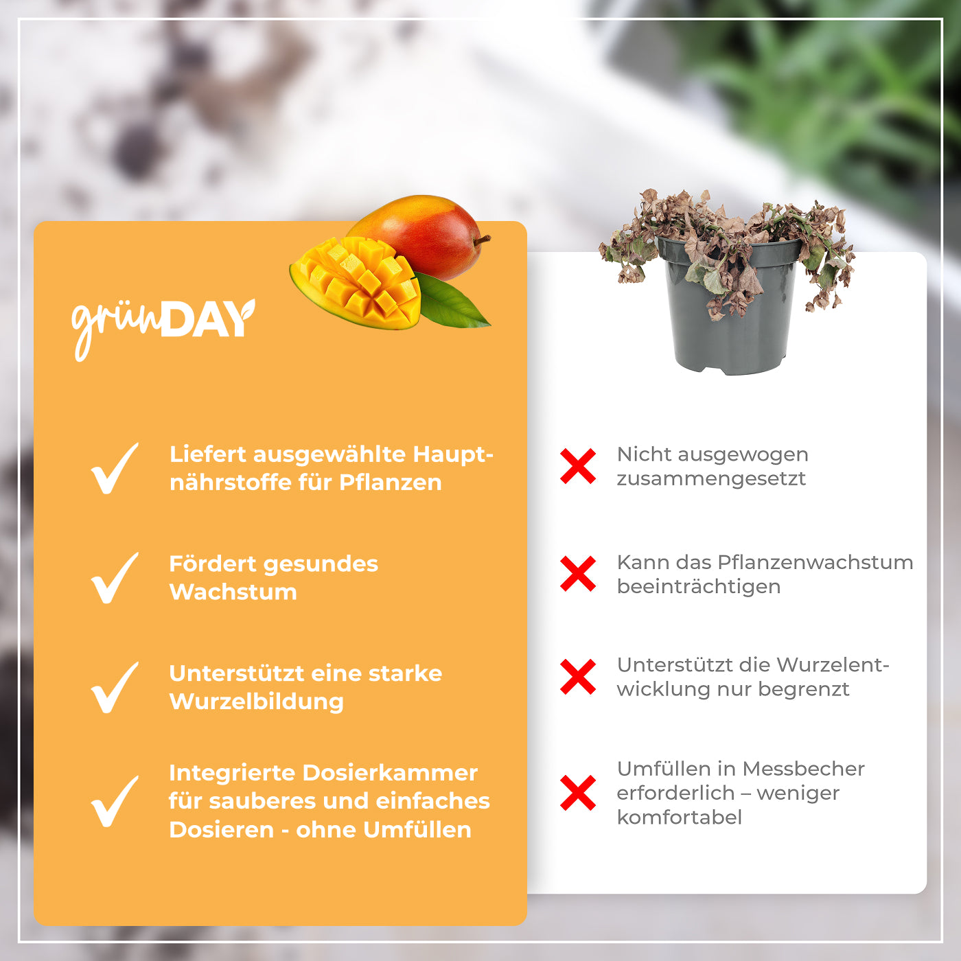 Gründay Mangodünger – Produktansicht 6