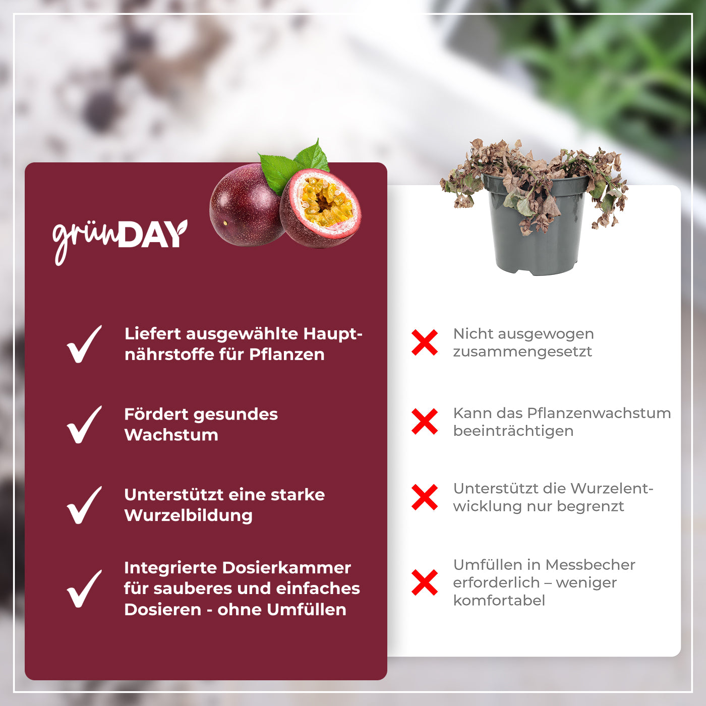 Gründay Maracujadünger – Produktansicht 6
