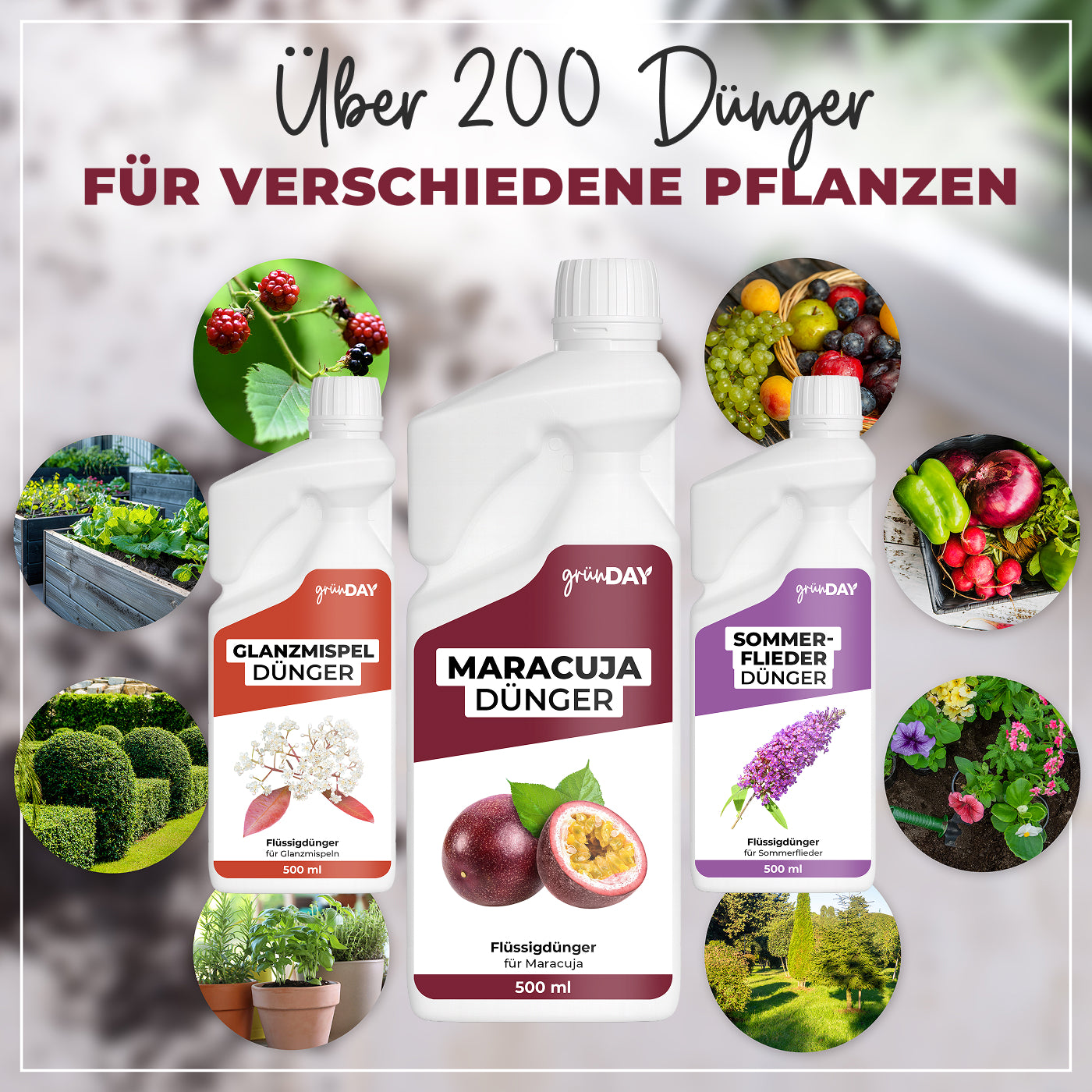 Gründay Maracujadünger – Produktansicht 7