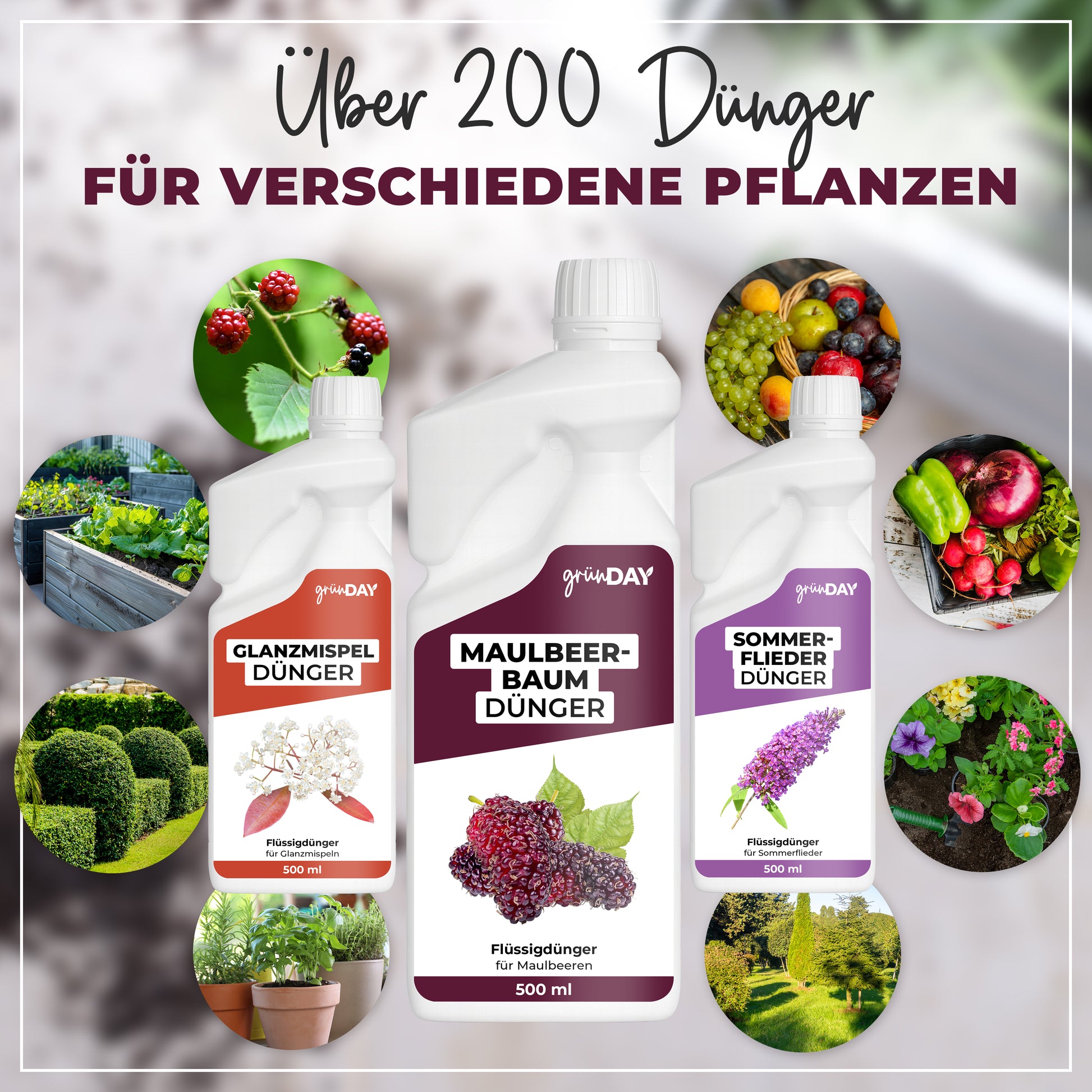 Gründay Maulbeerbaumdünger – Produktansicht 7