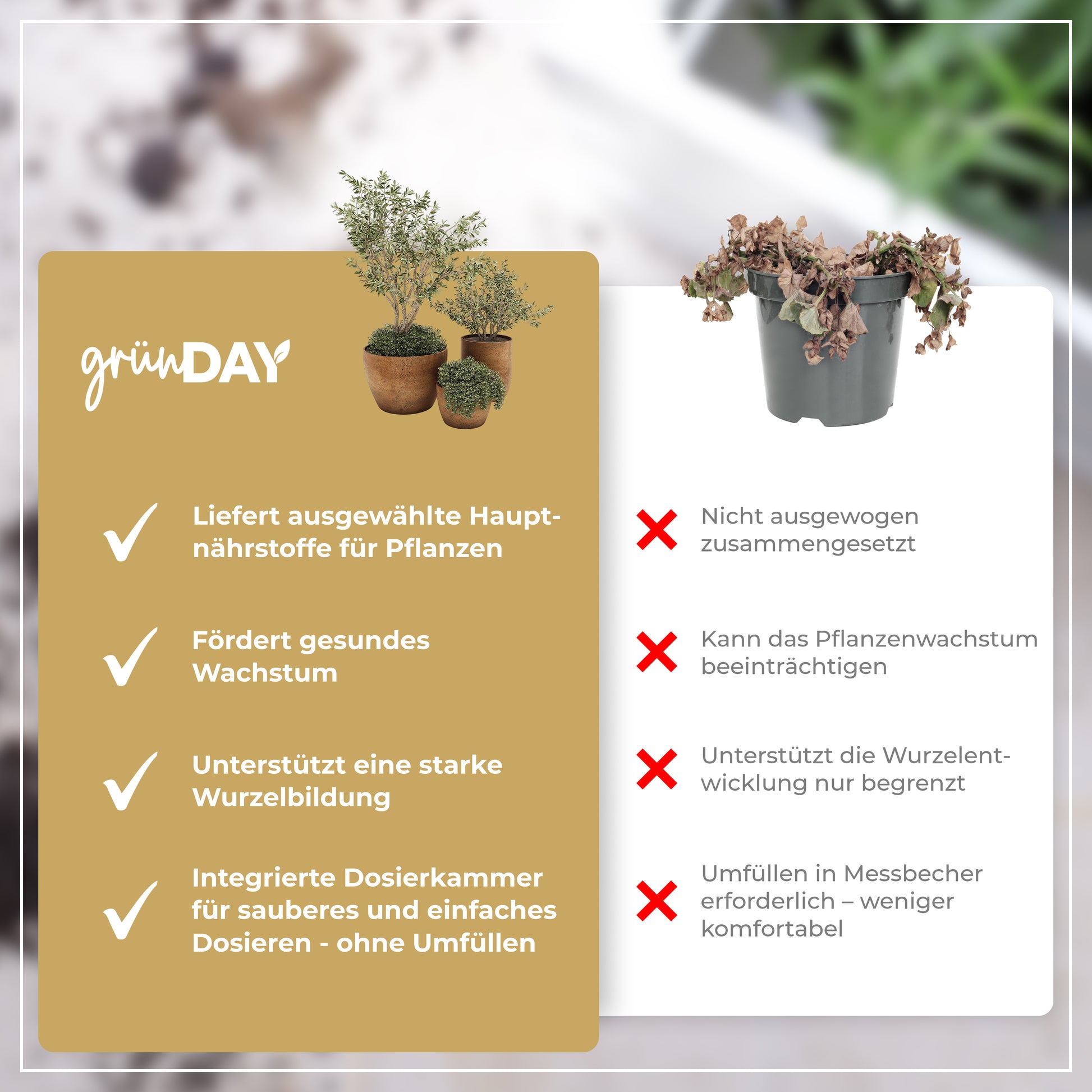 Gründay Mediterraner Dünger – Produktansicht 6