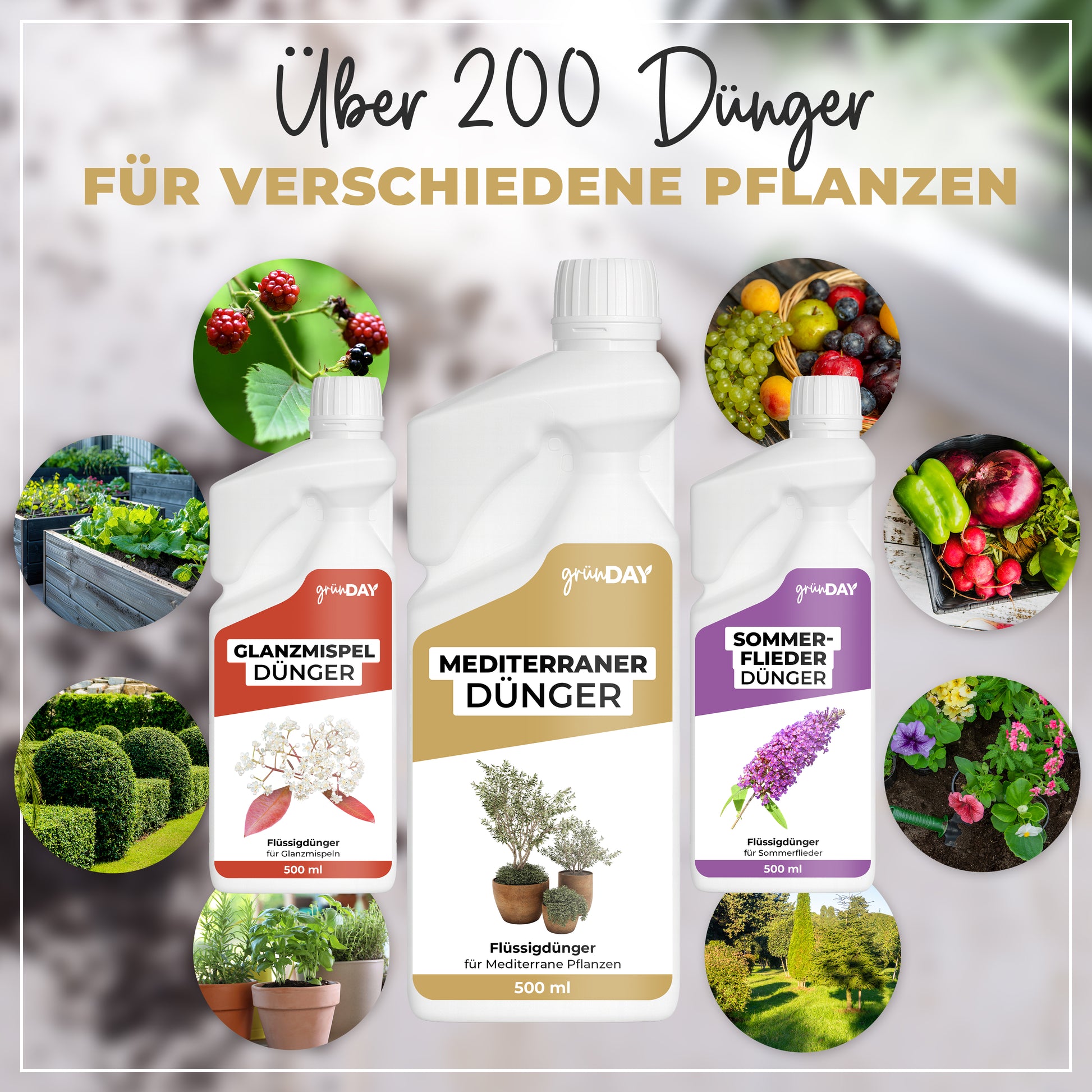 Gründay Mediterraner Dünger – Produktansicht 7