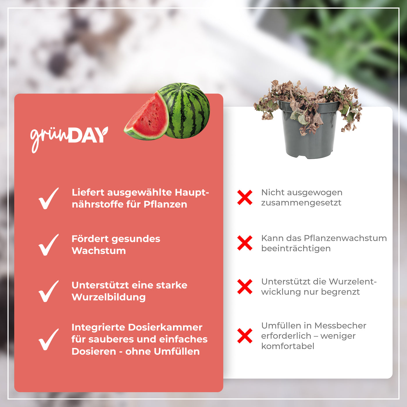 Gründay Melonendünger – Produktansicht 6