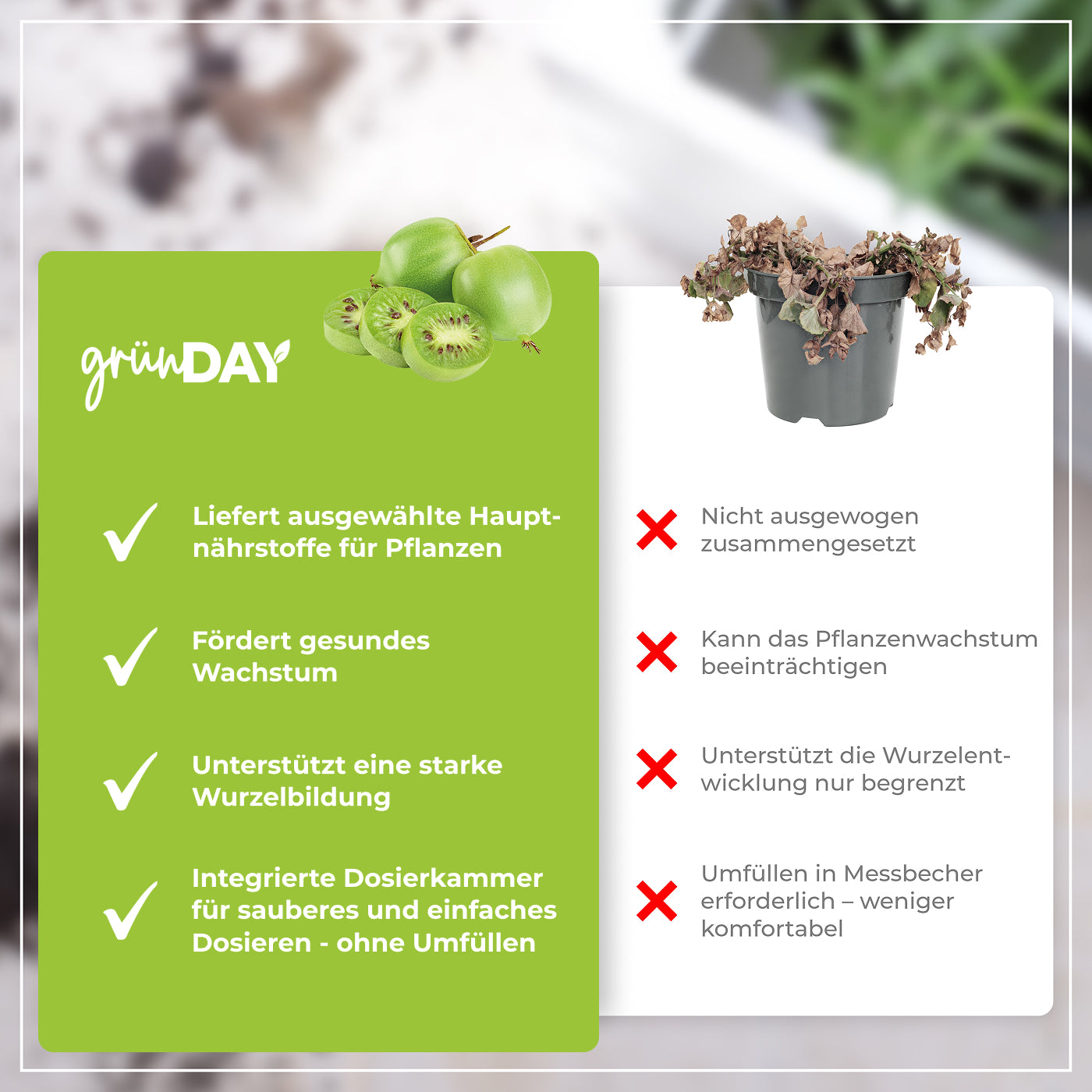 Gründay Mini Kiwi Dünger – Produktansicht 6