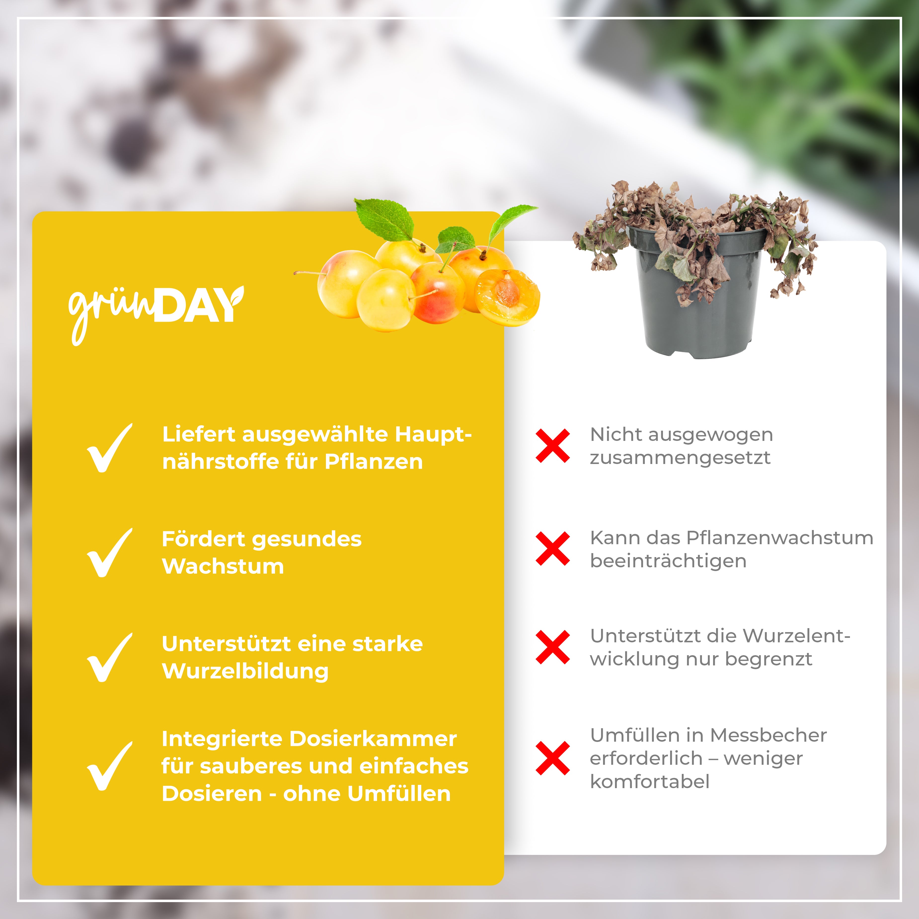 Gründay Mirabellenbaum Dünger – Produktansicht 6