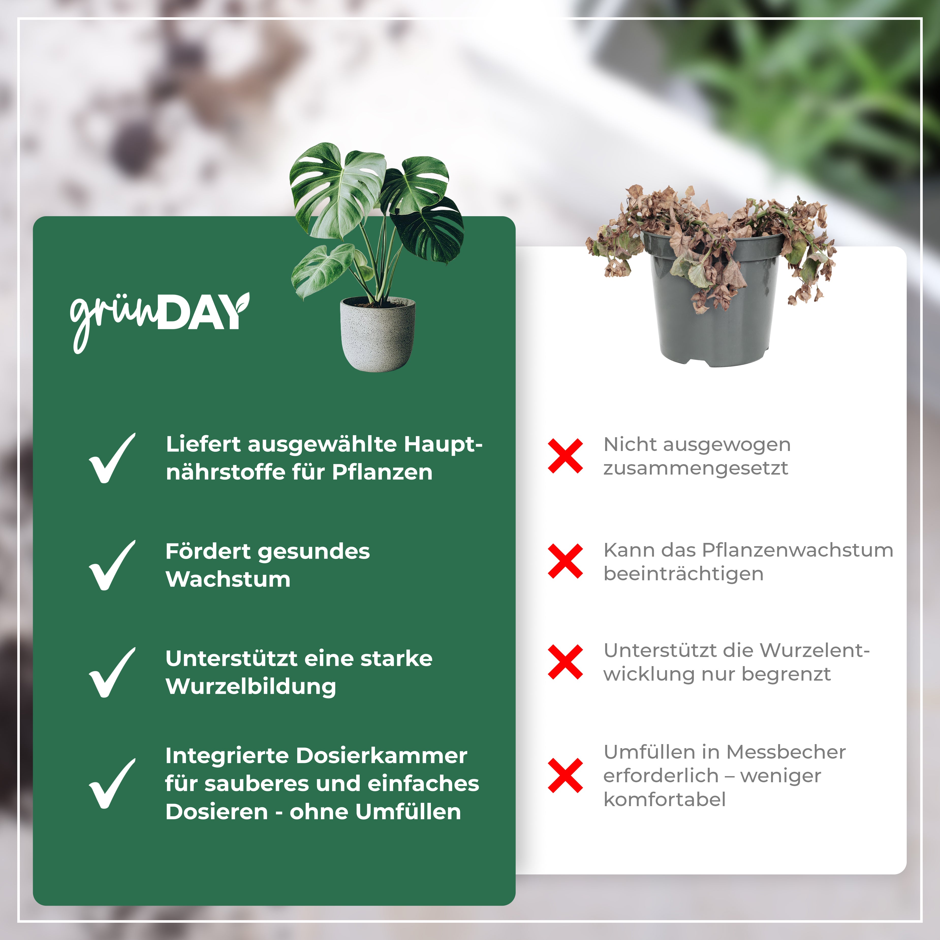 Gründay Monstera Deliciosa Dünger – Produktansicht 6