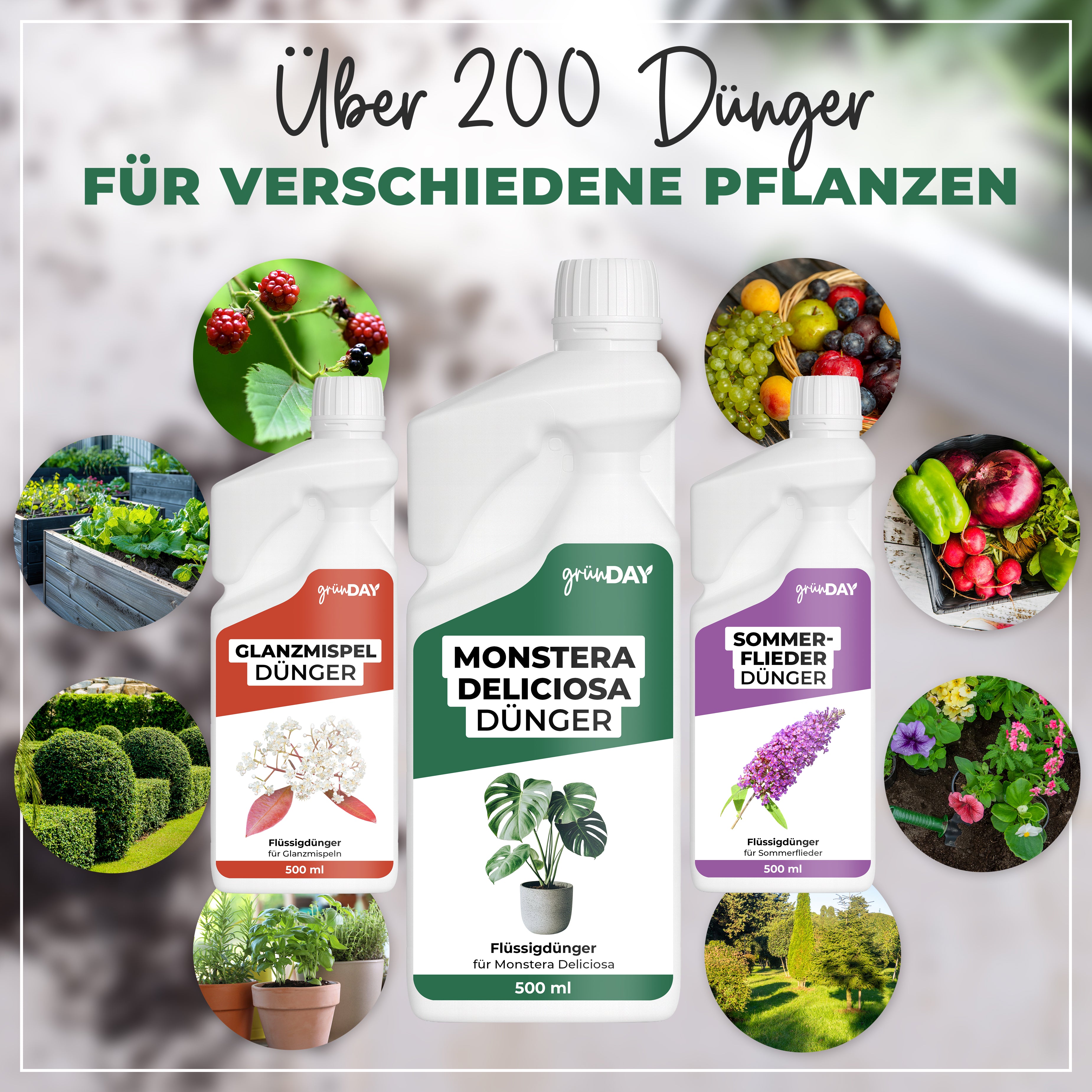 Gründay Monstera Deliciosa Dünger – Produktansicht 7