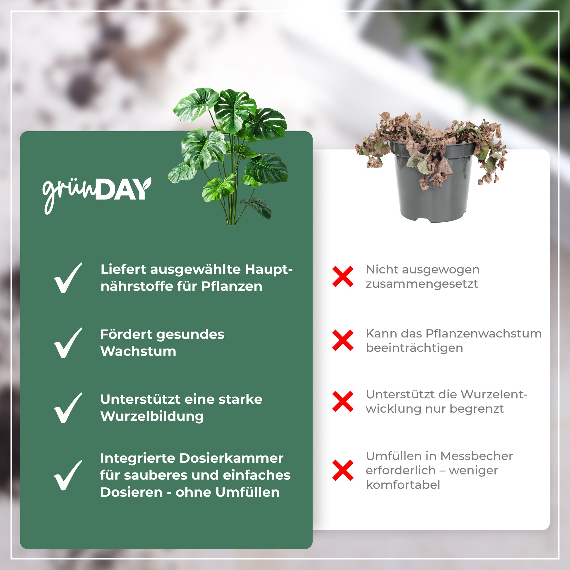 Gründay Monsteradünger – Produktansicht 6