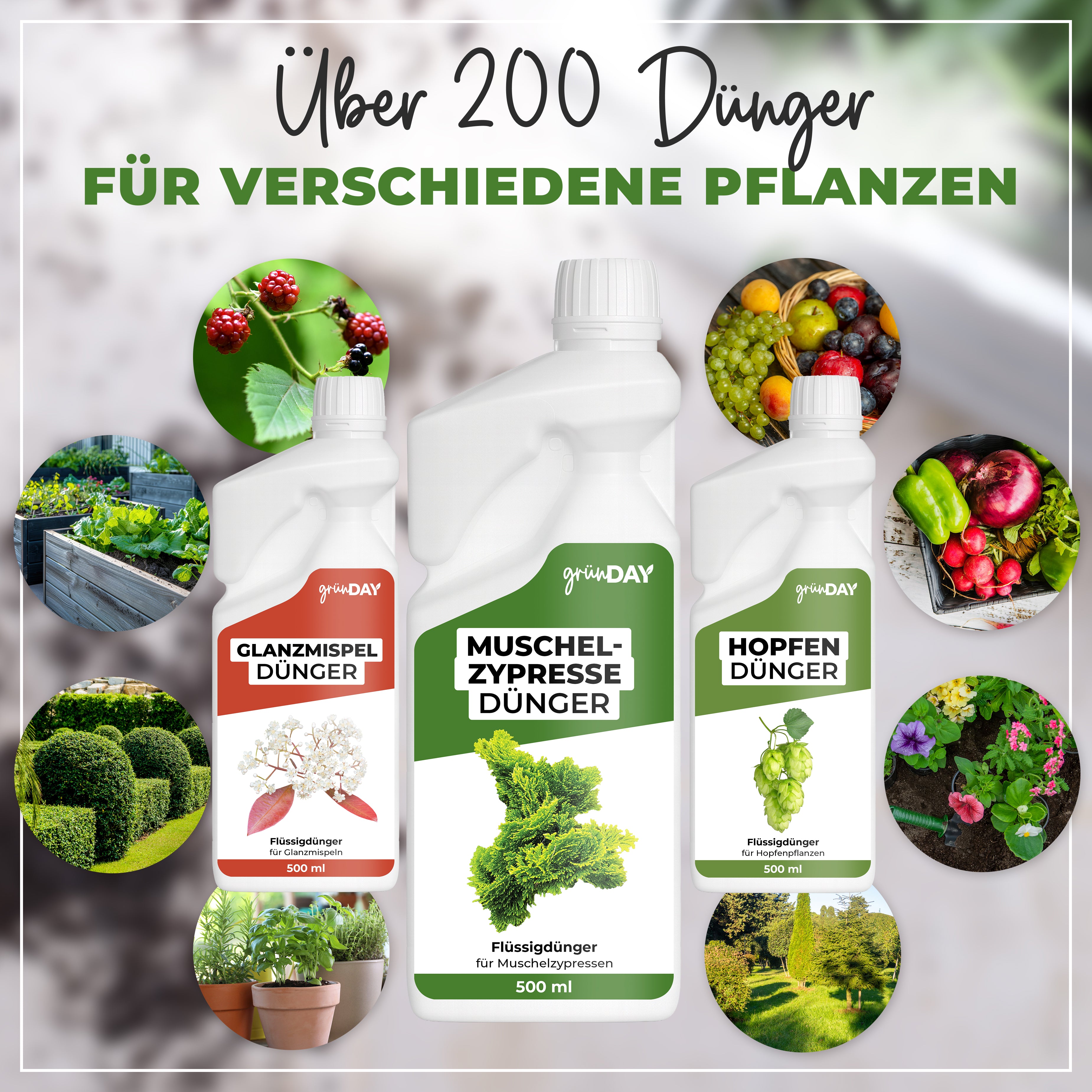 Gründay Muschelzypressedünger – Produktansicht 7