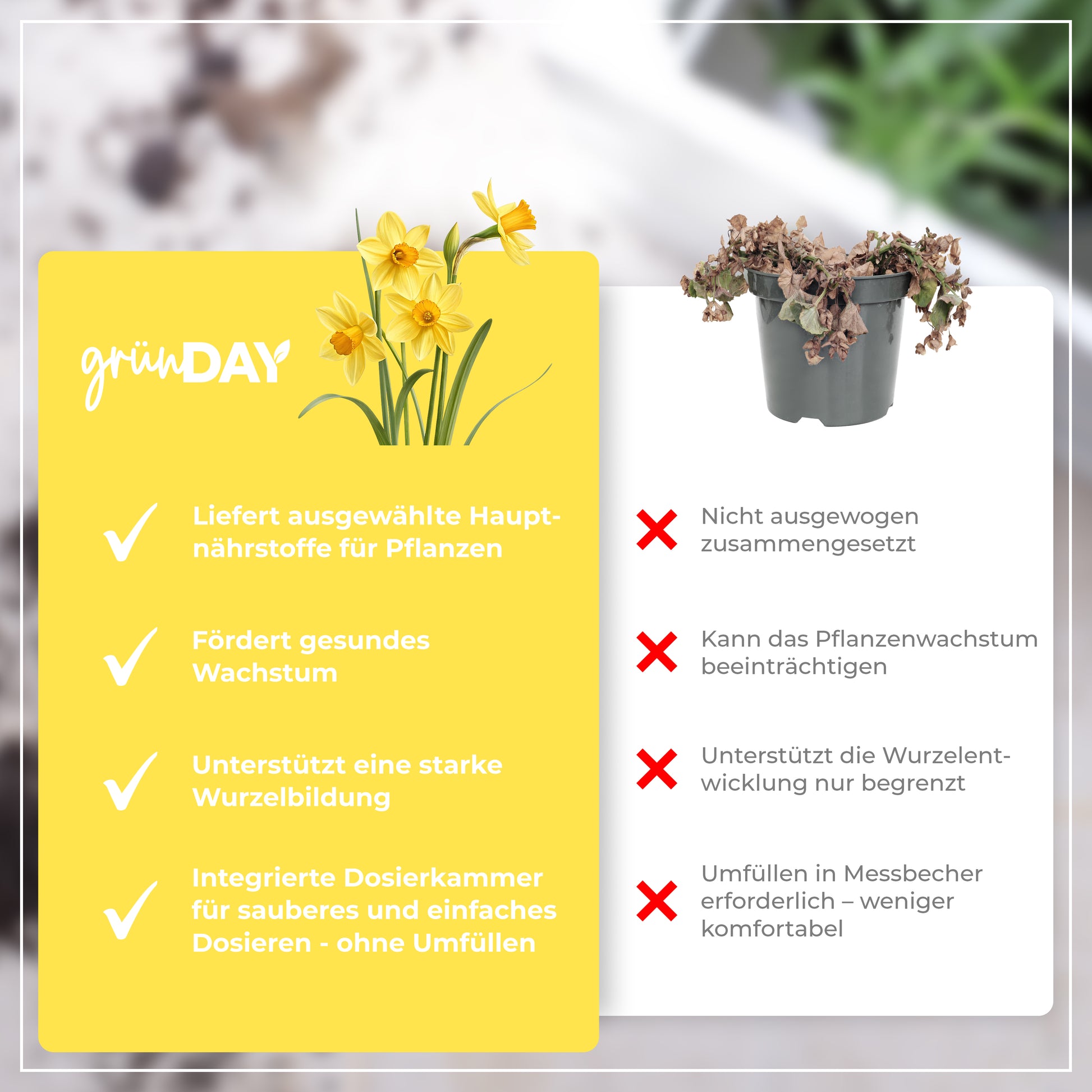Gründay Narzissendünger – Produktansicht 6