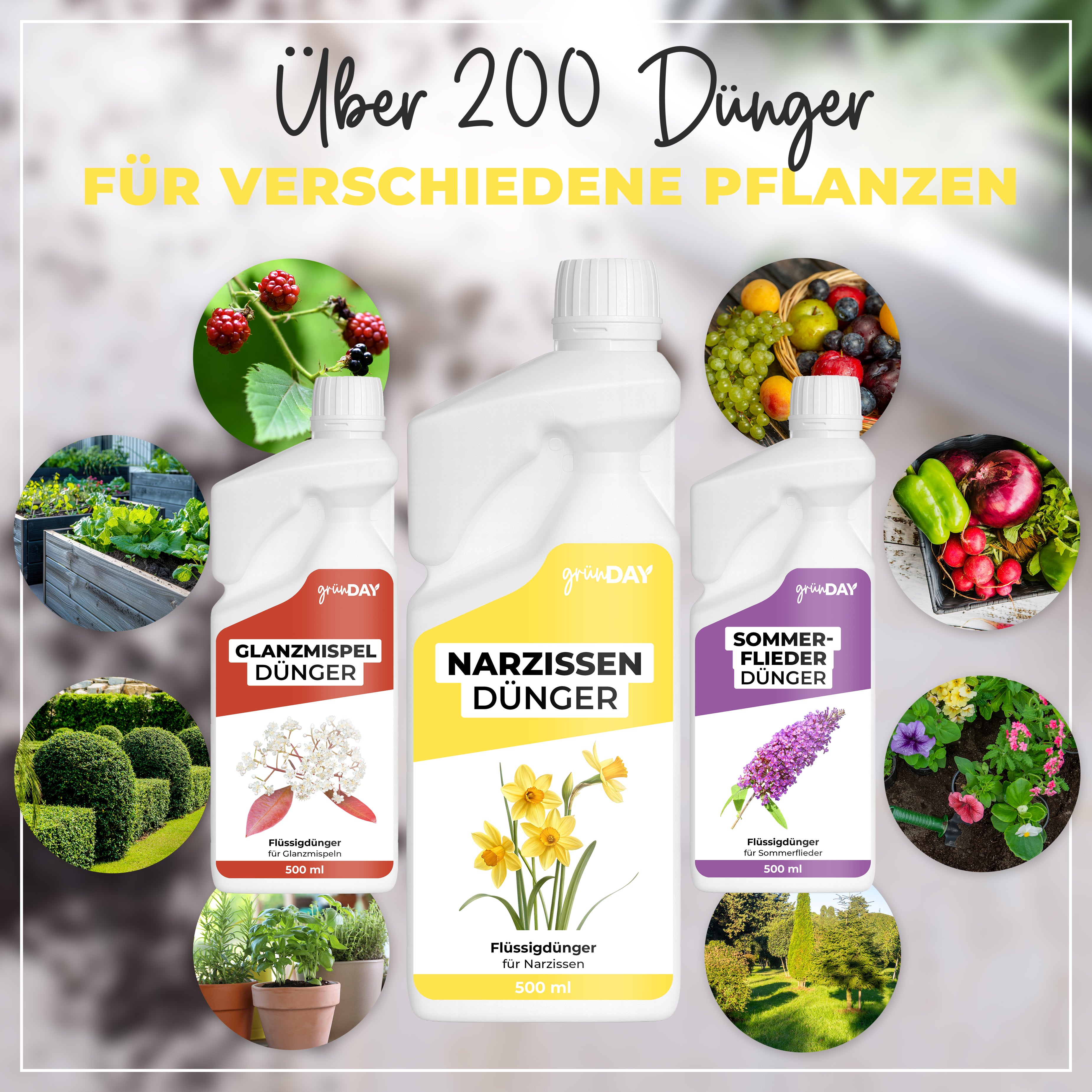 Gründay Narzissendünger – Produktansicht 7