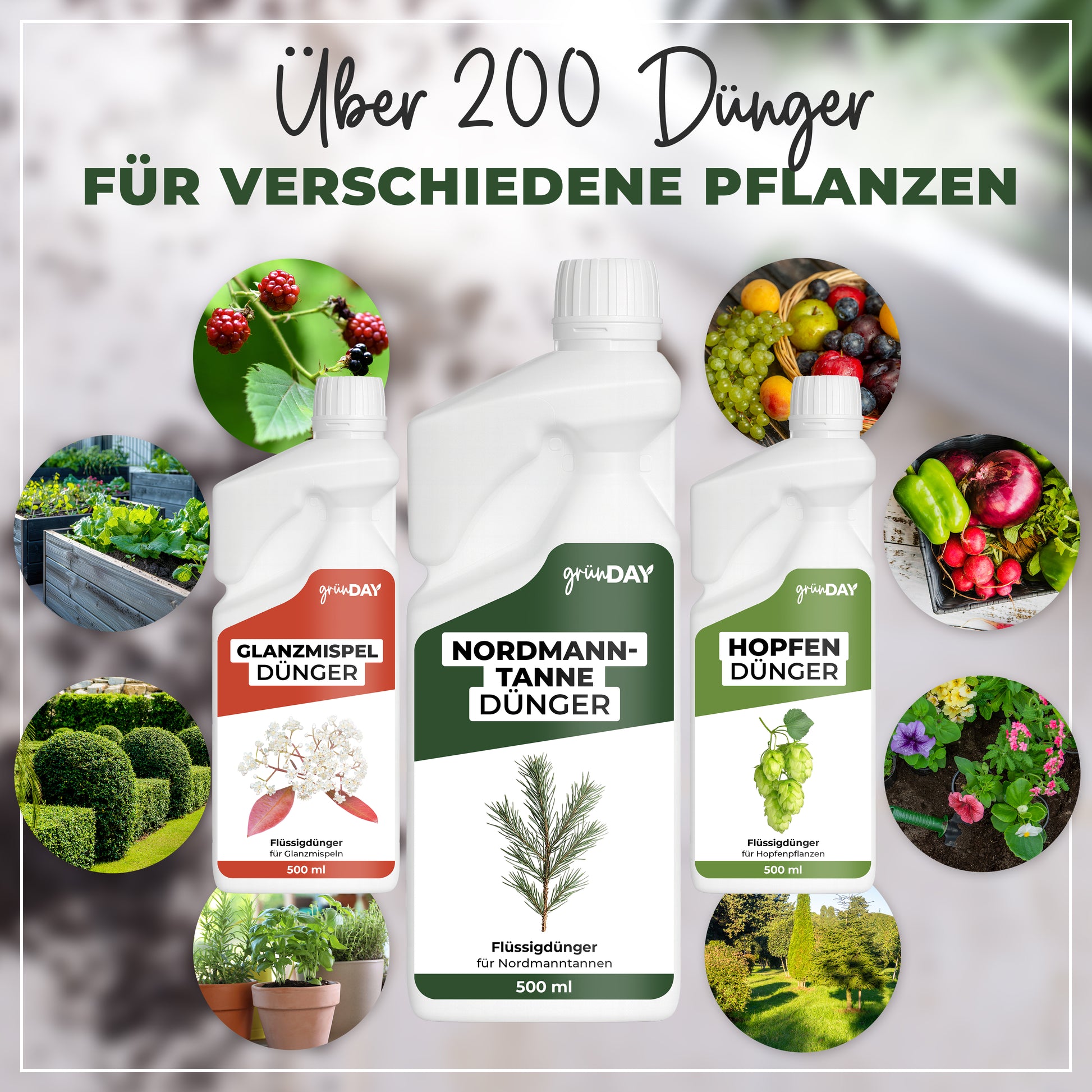 Gründay Nordmanntanne Dünger – Produktansicht 7
