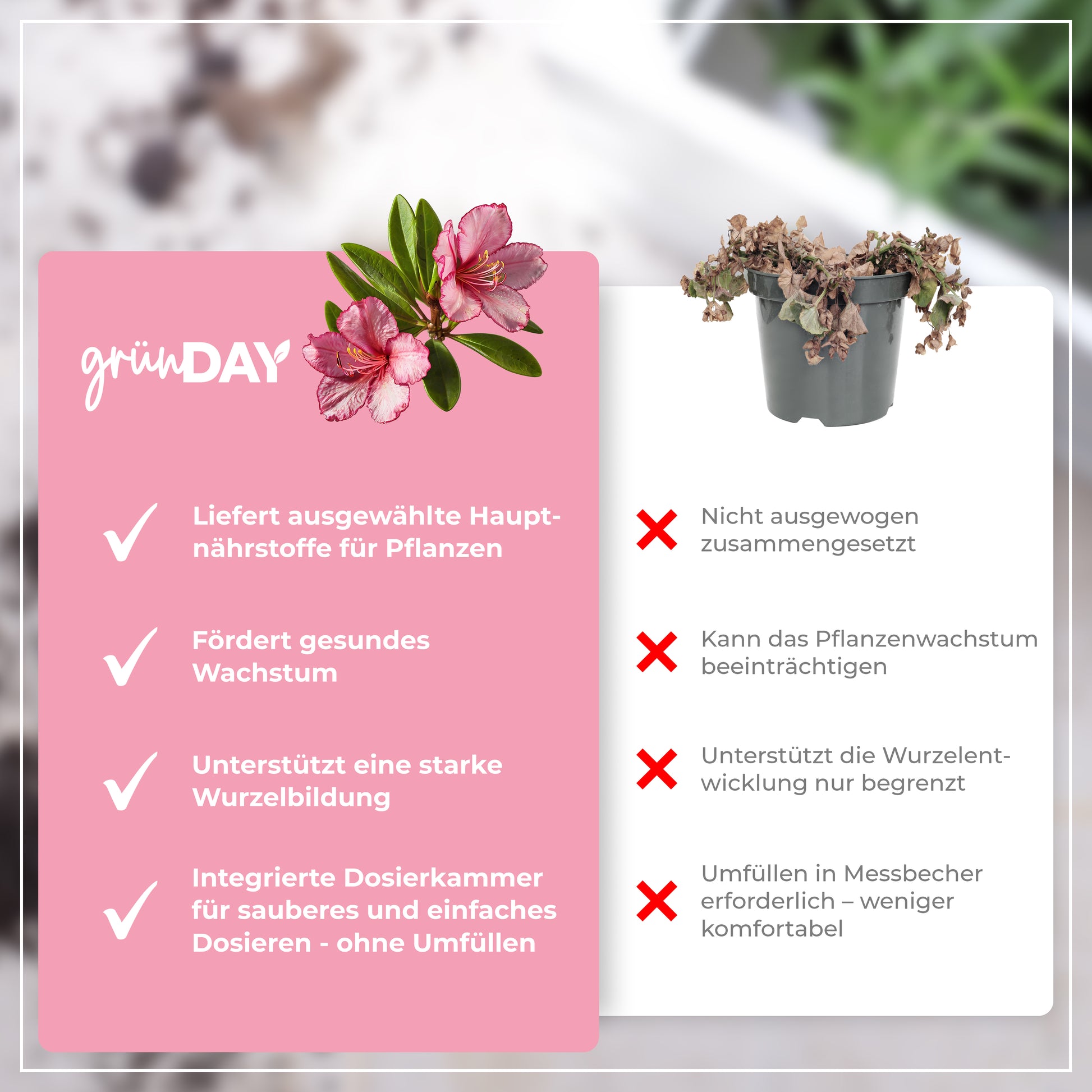 Gründay Oleanderdünger – Produktansicht 6