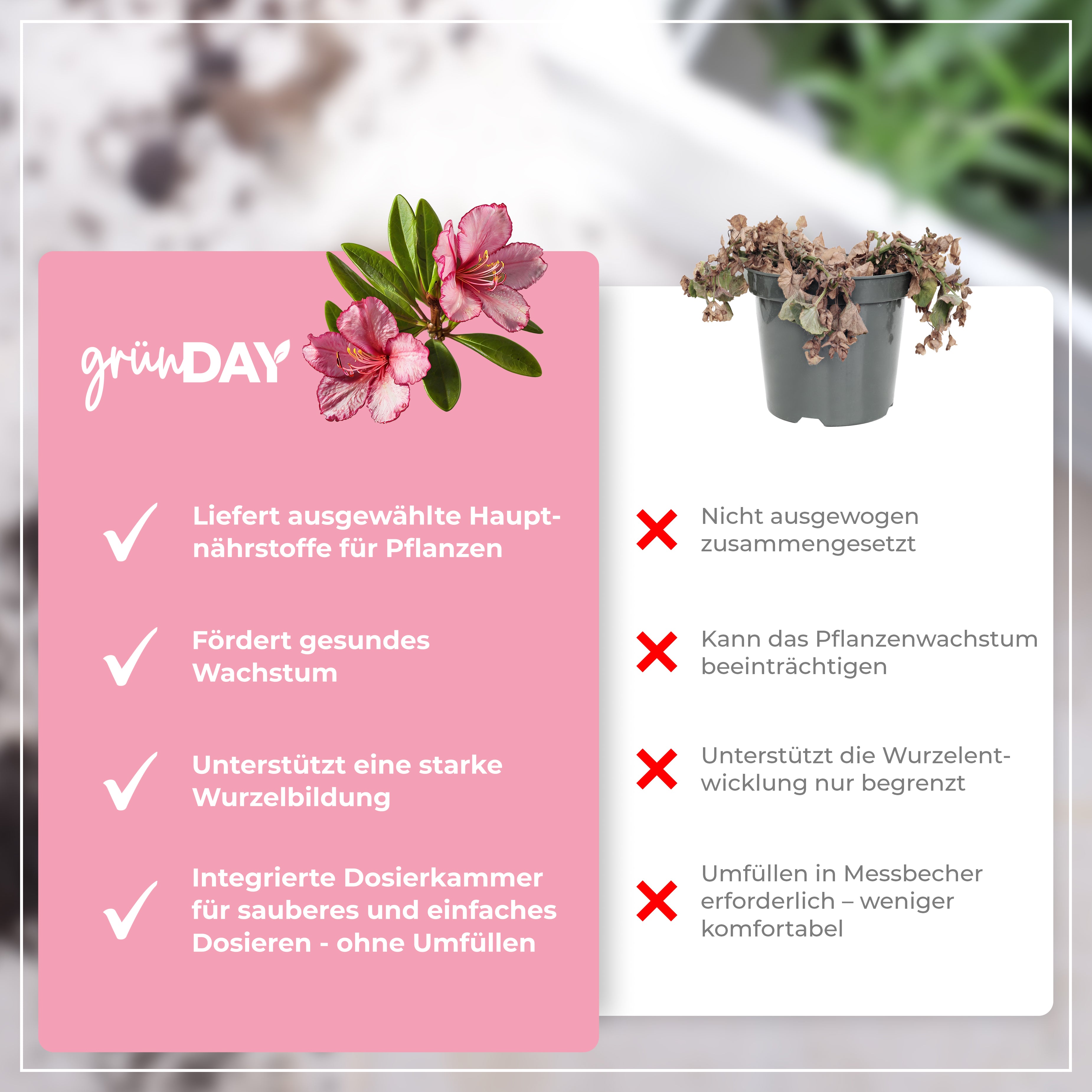 Gründay Oleanderdünger – Produktansicht 6