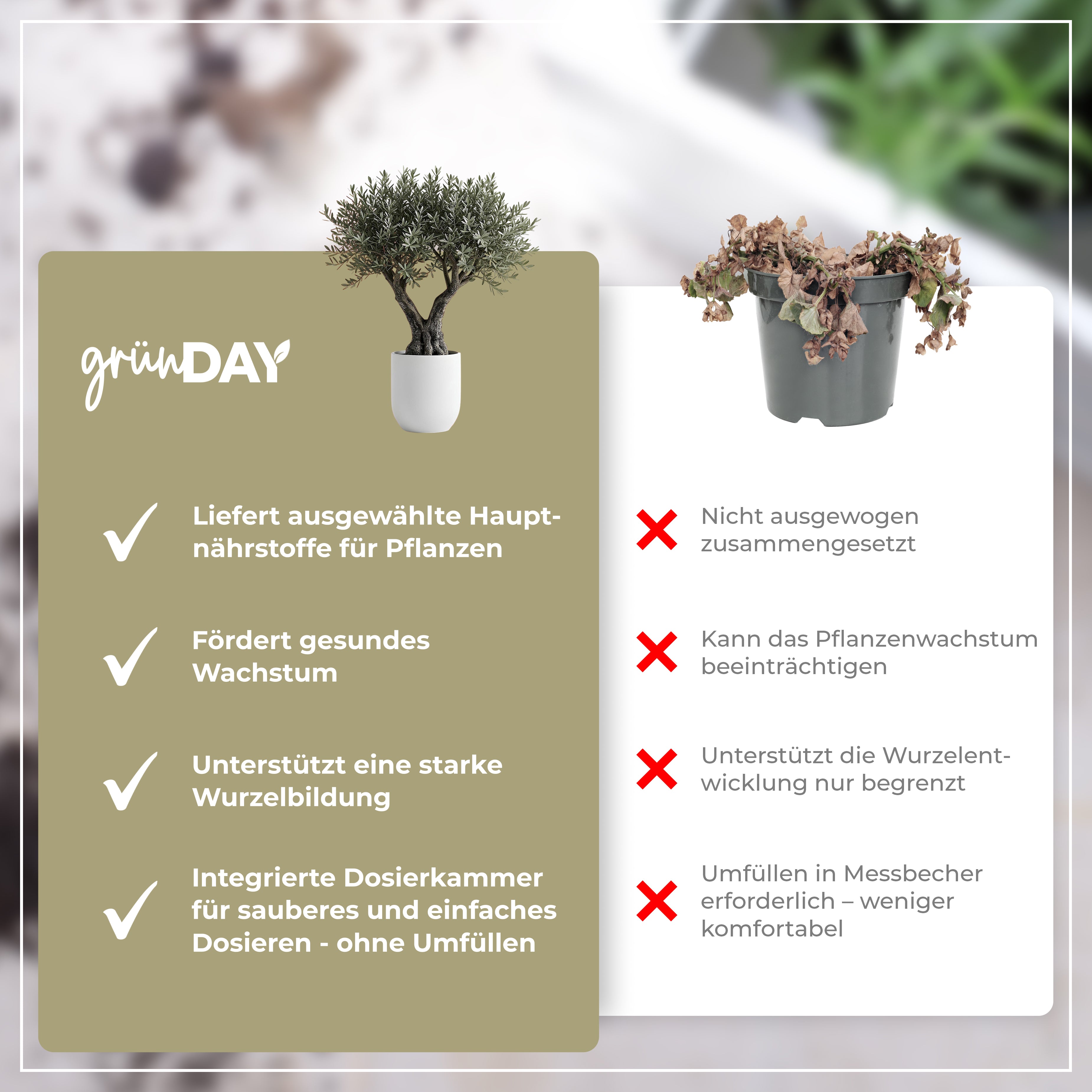 Gründay Olivenbaumdünger – Produktansicht 6