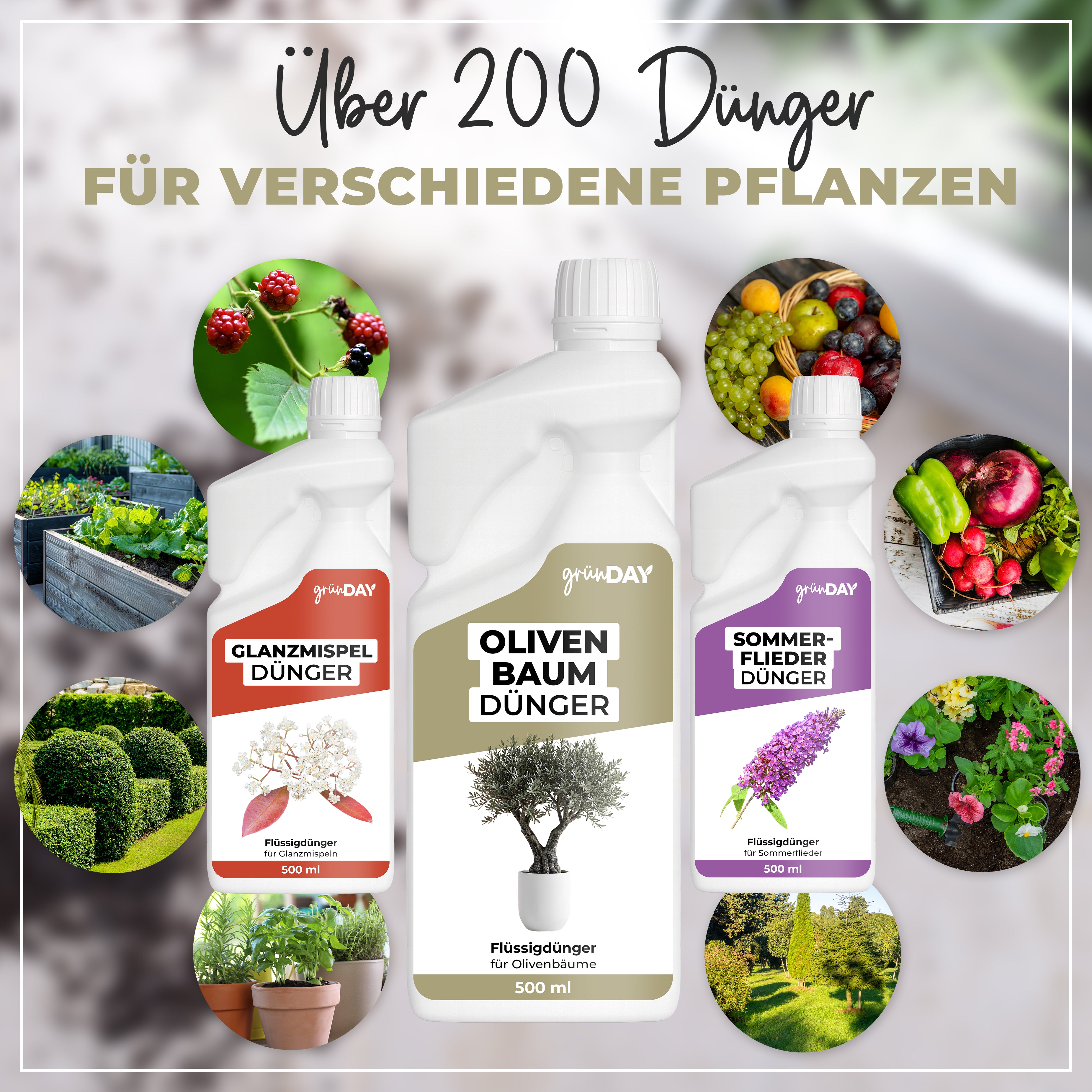 Gründay Olivenbaumdünger – Produktansicht 7