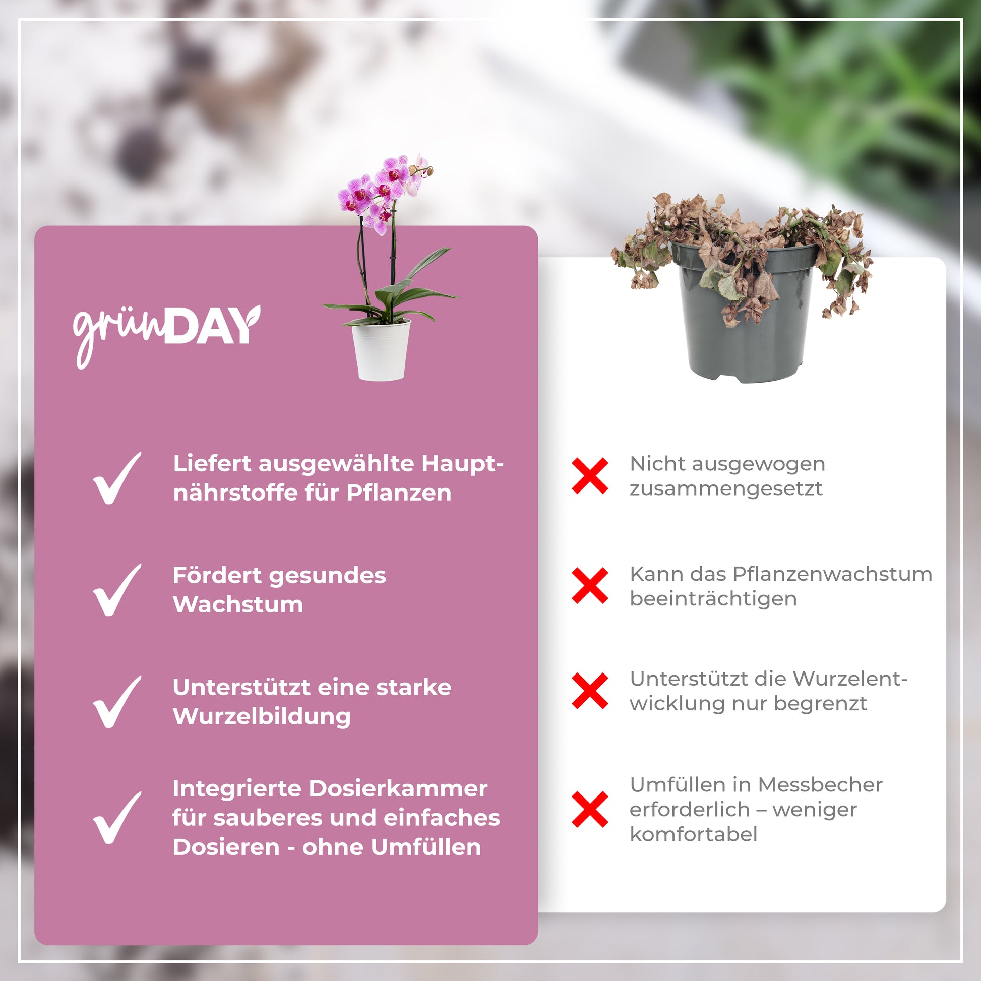 Gründay Orchideendünger – Produktansicht 6