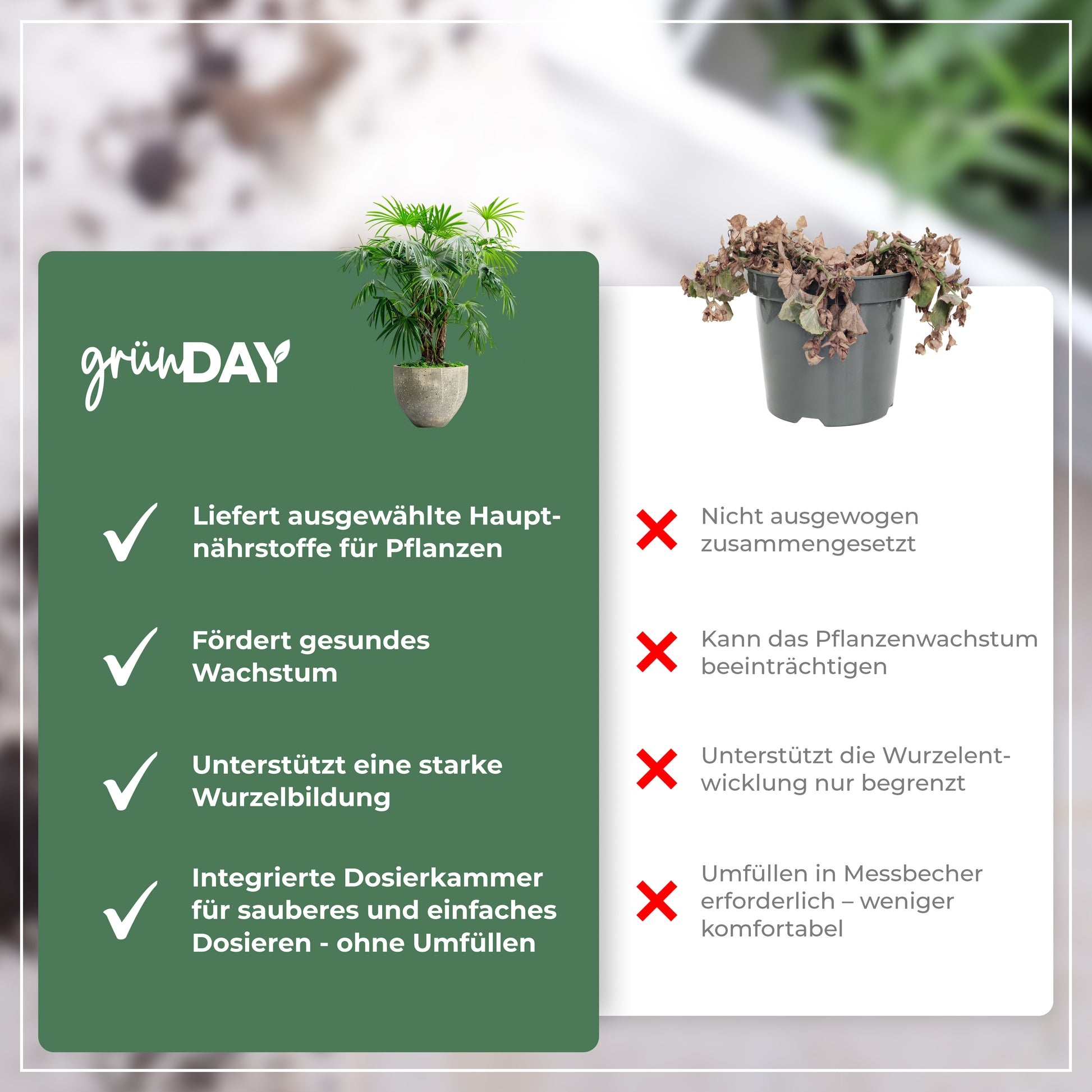 Gründay Palmendünger – Produktansicht 6