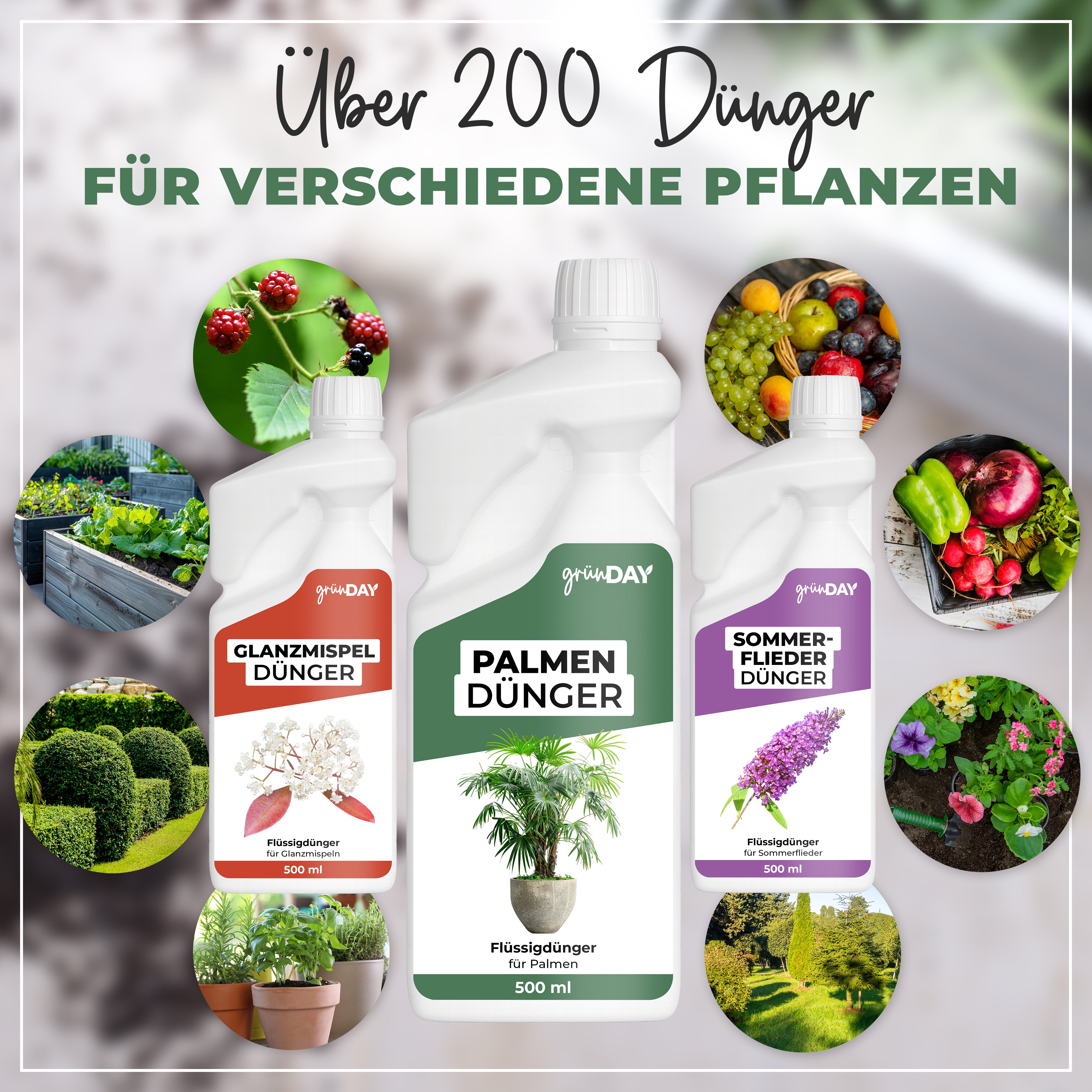 Gründay Palmendünger – Produktansicht 7