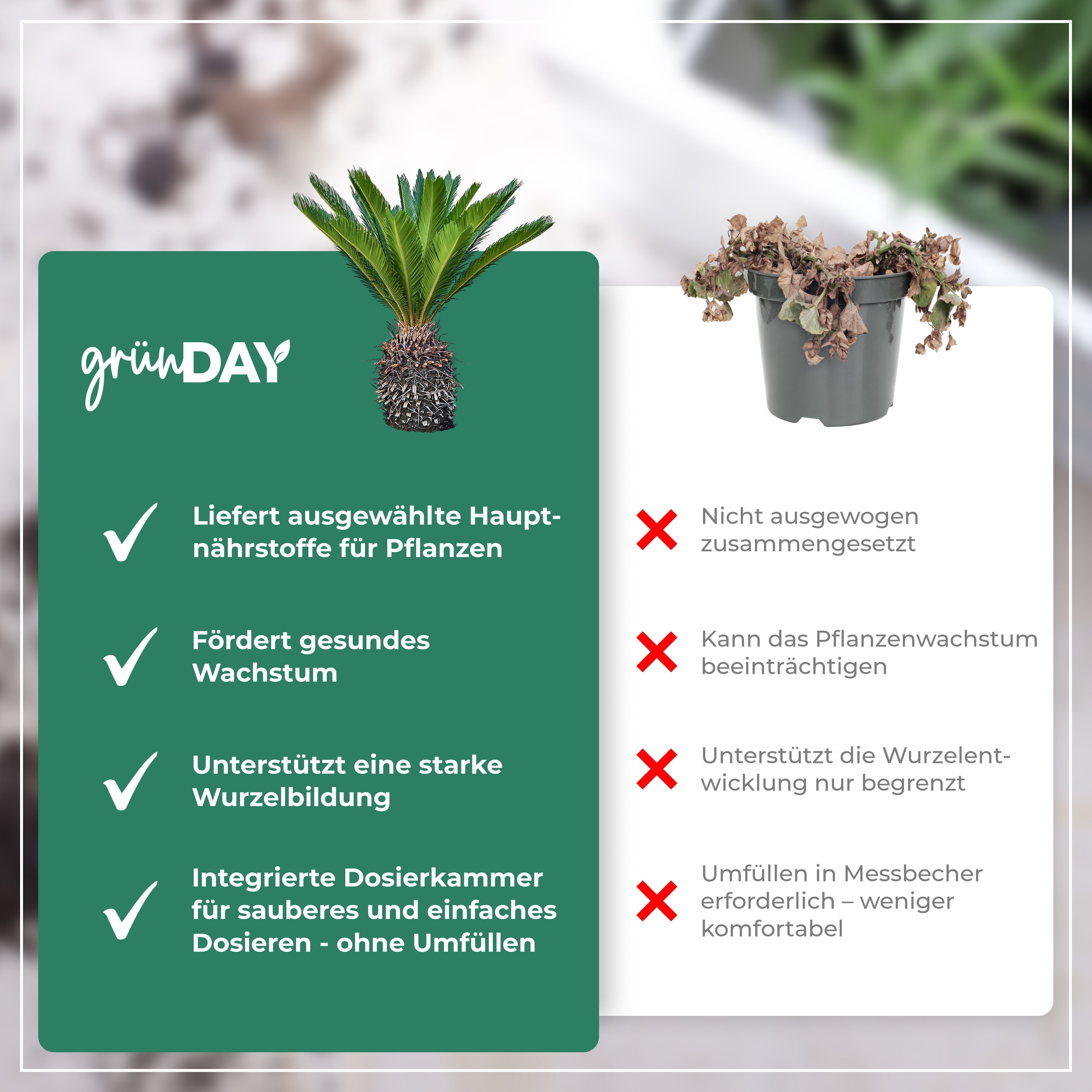 Gründay Palmfarn Dünger – Produktansicht 6