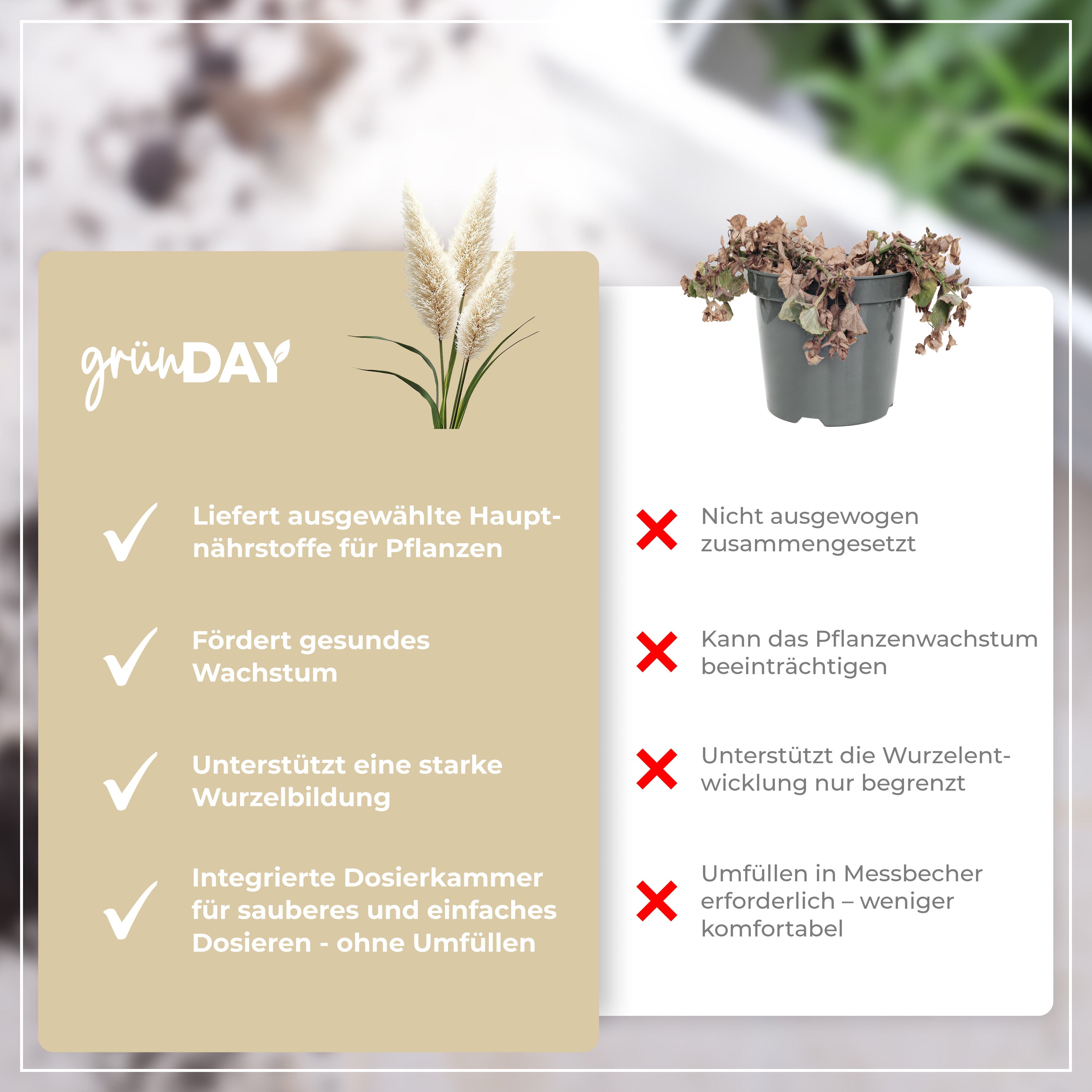 Gründay Pampasgrasdünger – Produktansicht 6