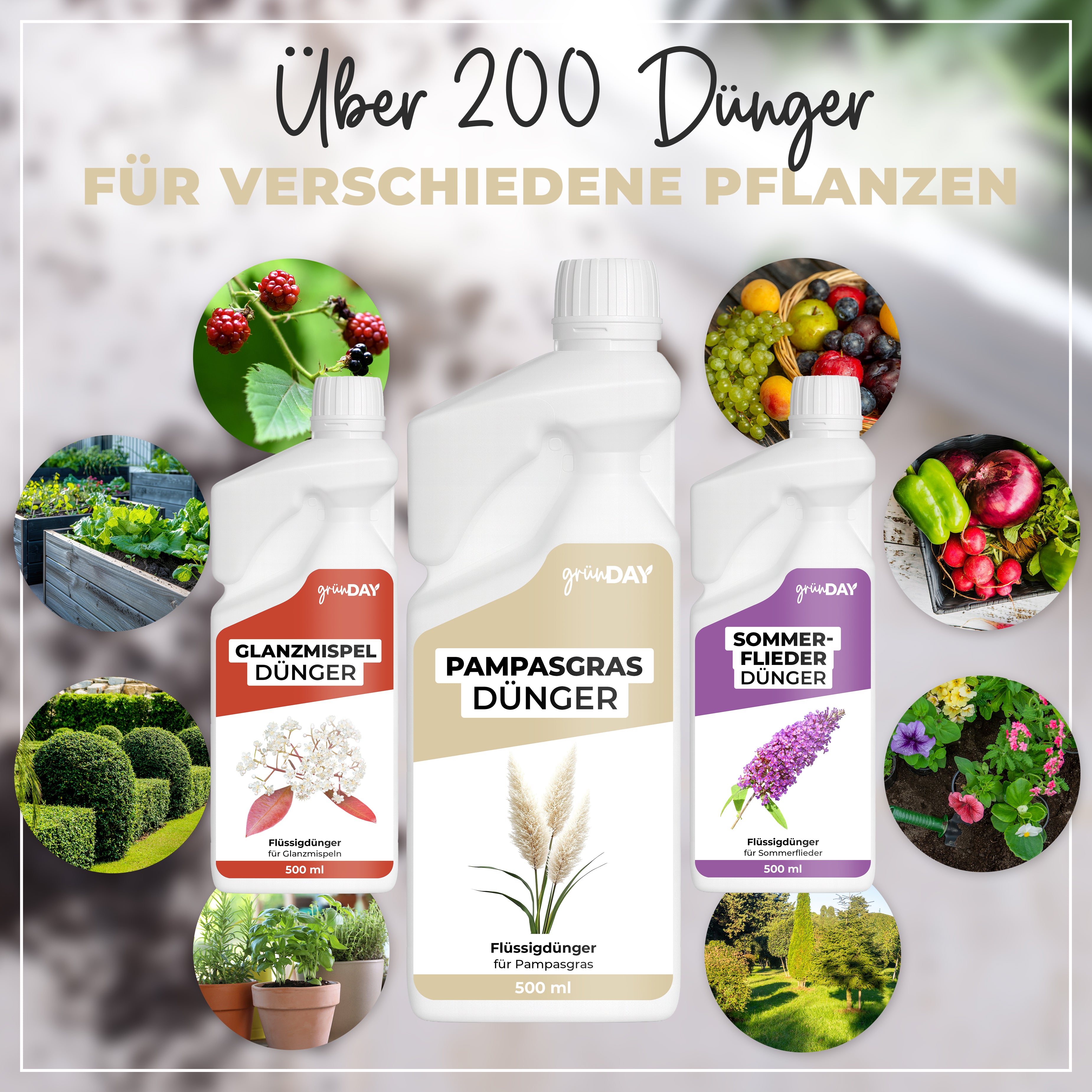 Gründay Pampasgrasdünger – Produktansicht 7