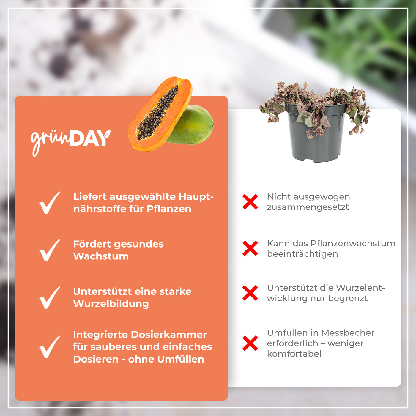 Gründay Papayadünger – Produktansicht 6