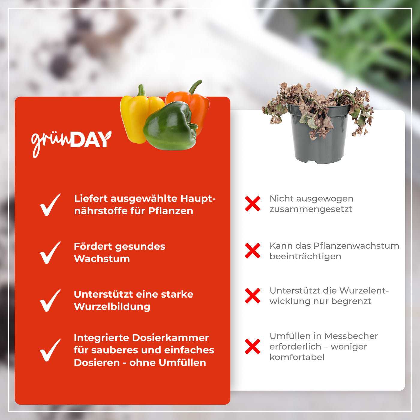 Gründay Paprikadünger – Produktansicht 6
