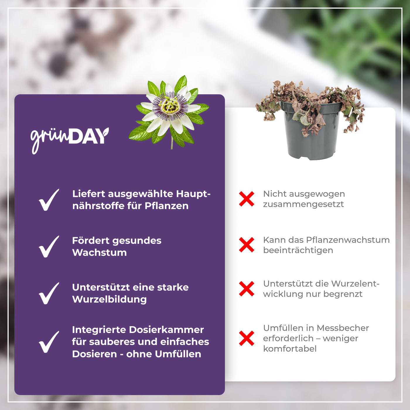 Gründay Passionsblume Dünger – Produktansicht 6