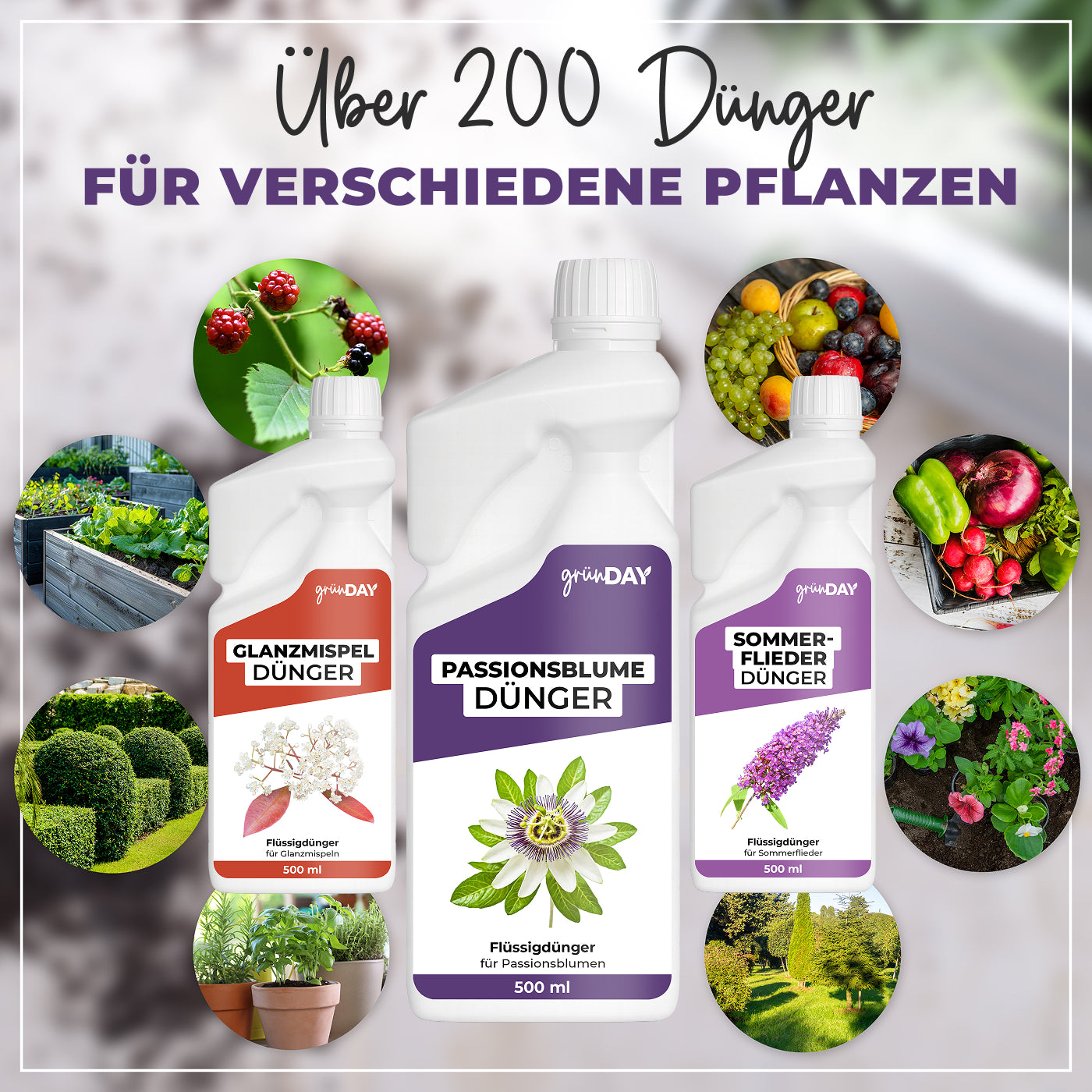Gründay Passionsblume Dünger – Produktansicht 7
