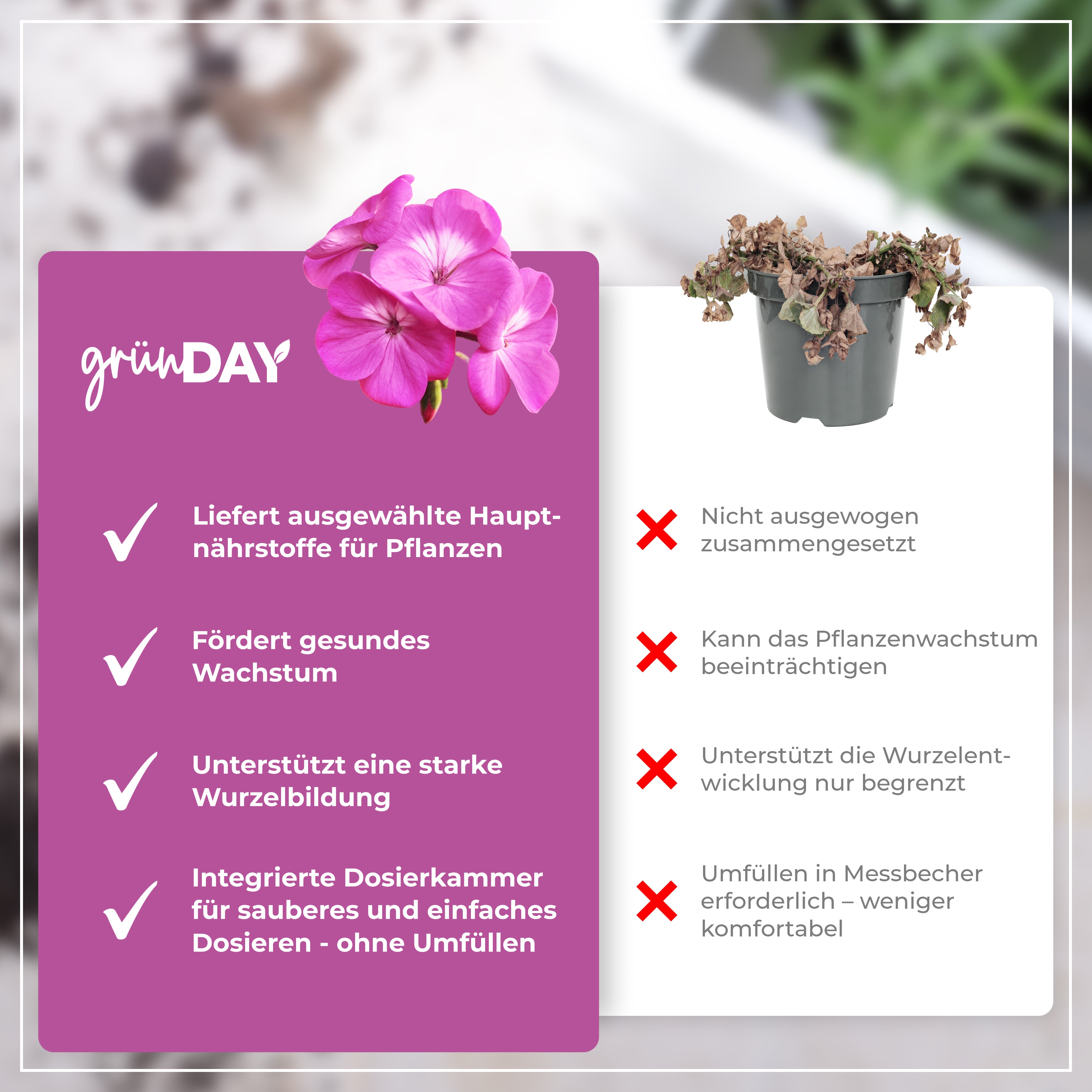 Gründay Petuniendünger – Produktansicht 6