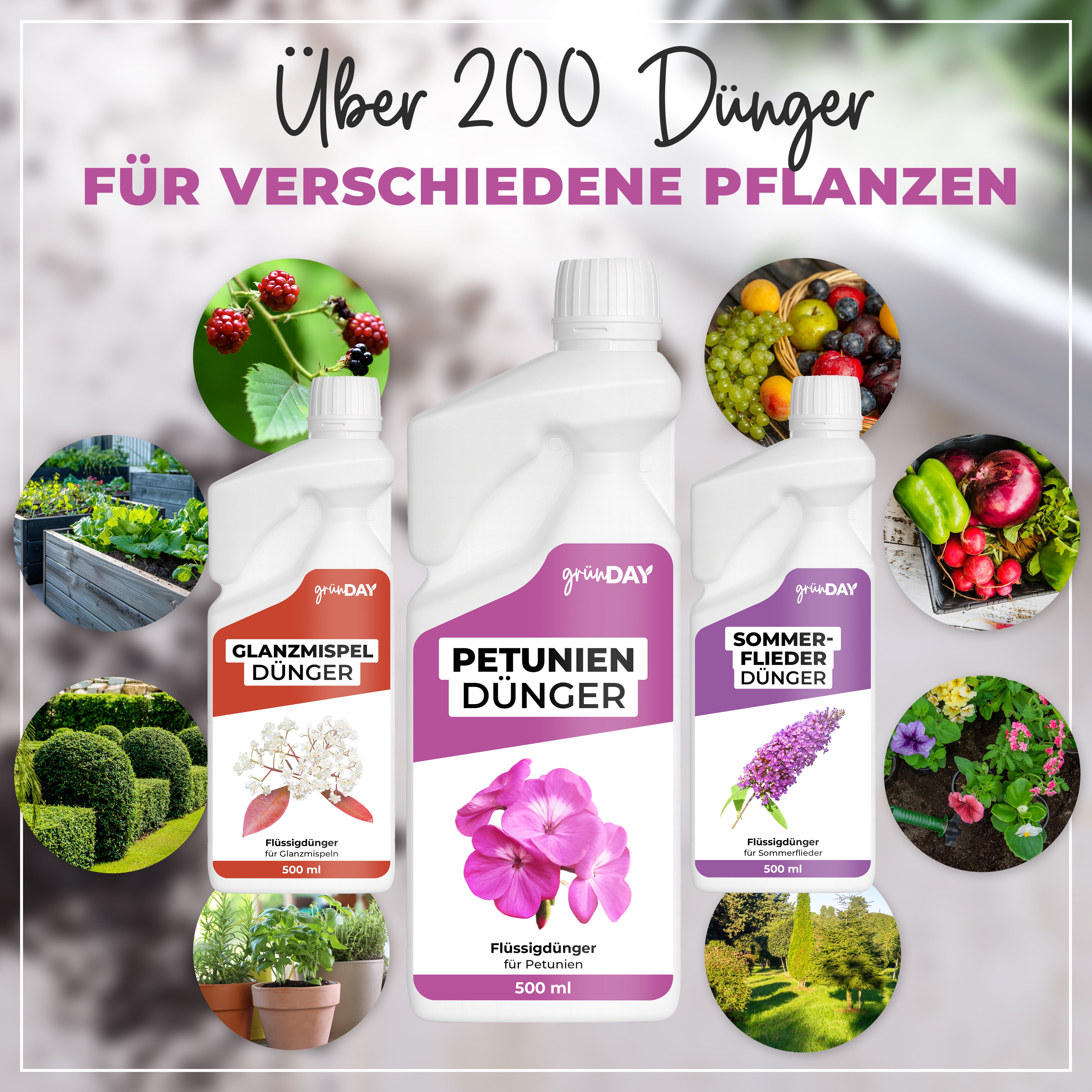 Gründay Petuniendünger – Produktansicht 7