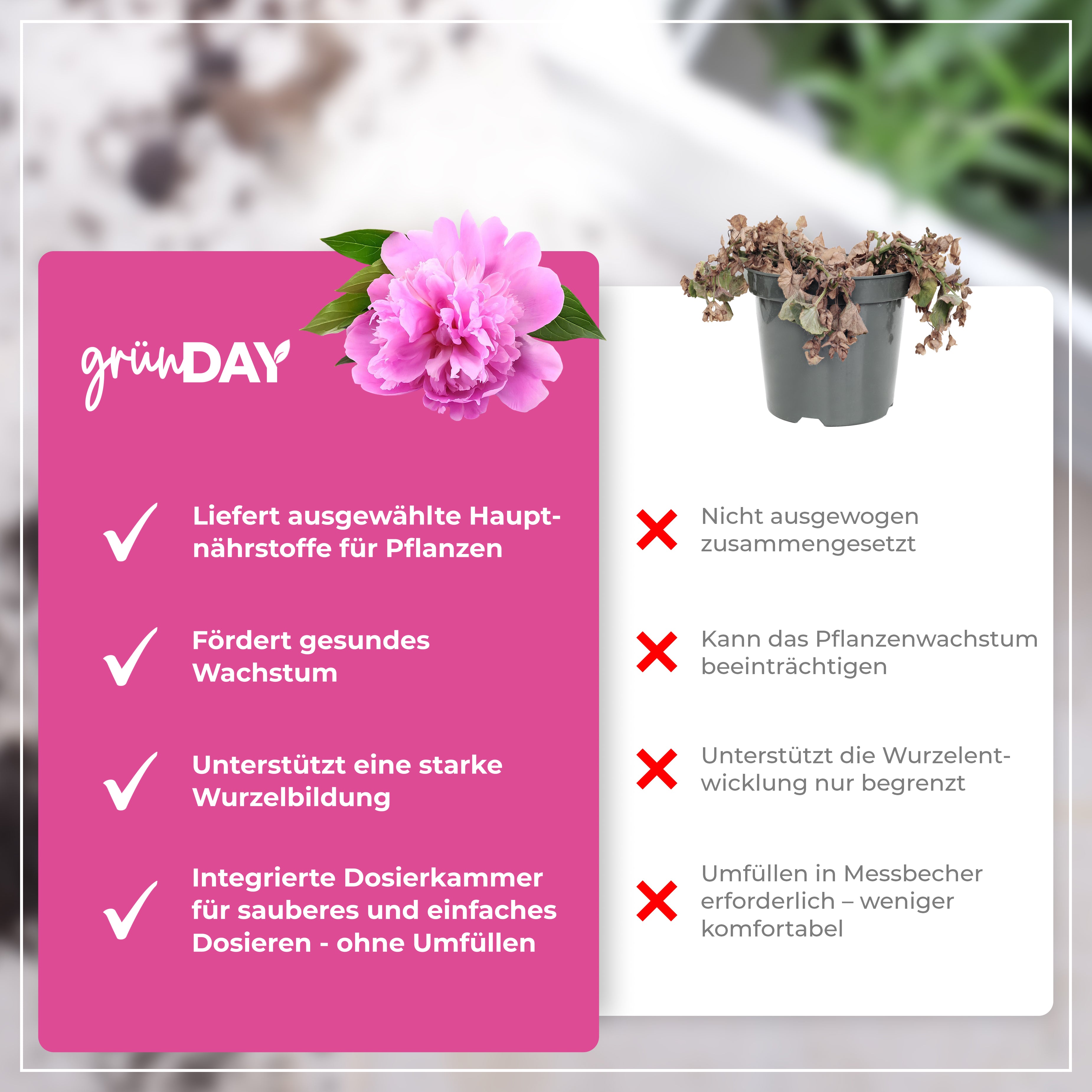 Gründay Pfingstrosendünger – Produktansicht 6