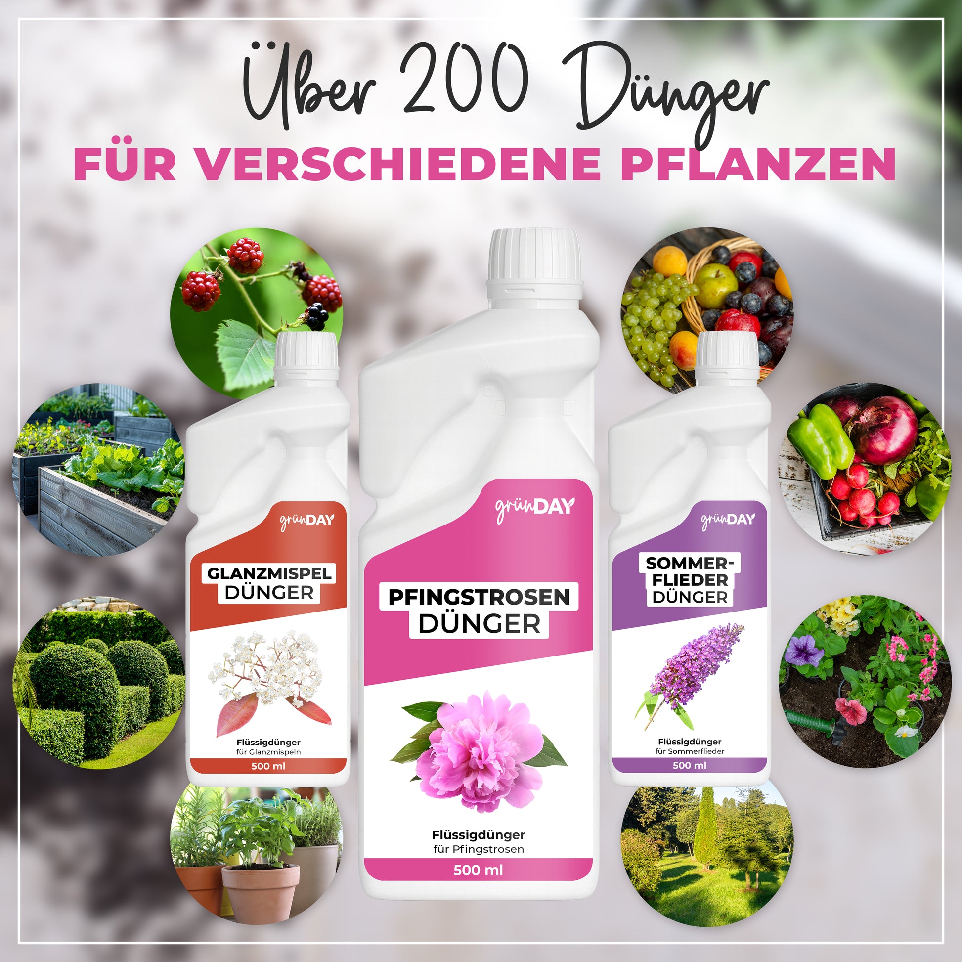 Gründay Pfingstrosendünger – Produktansicht 7