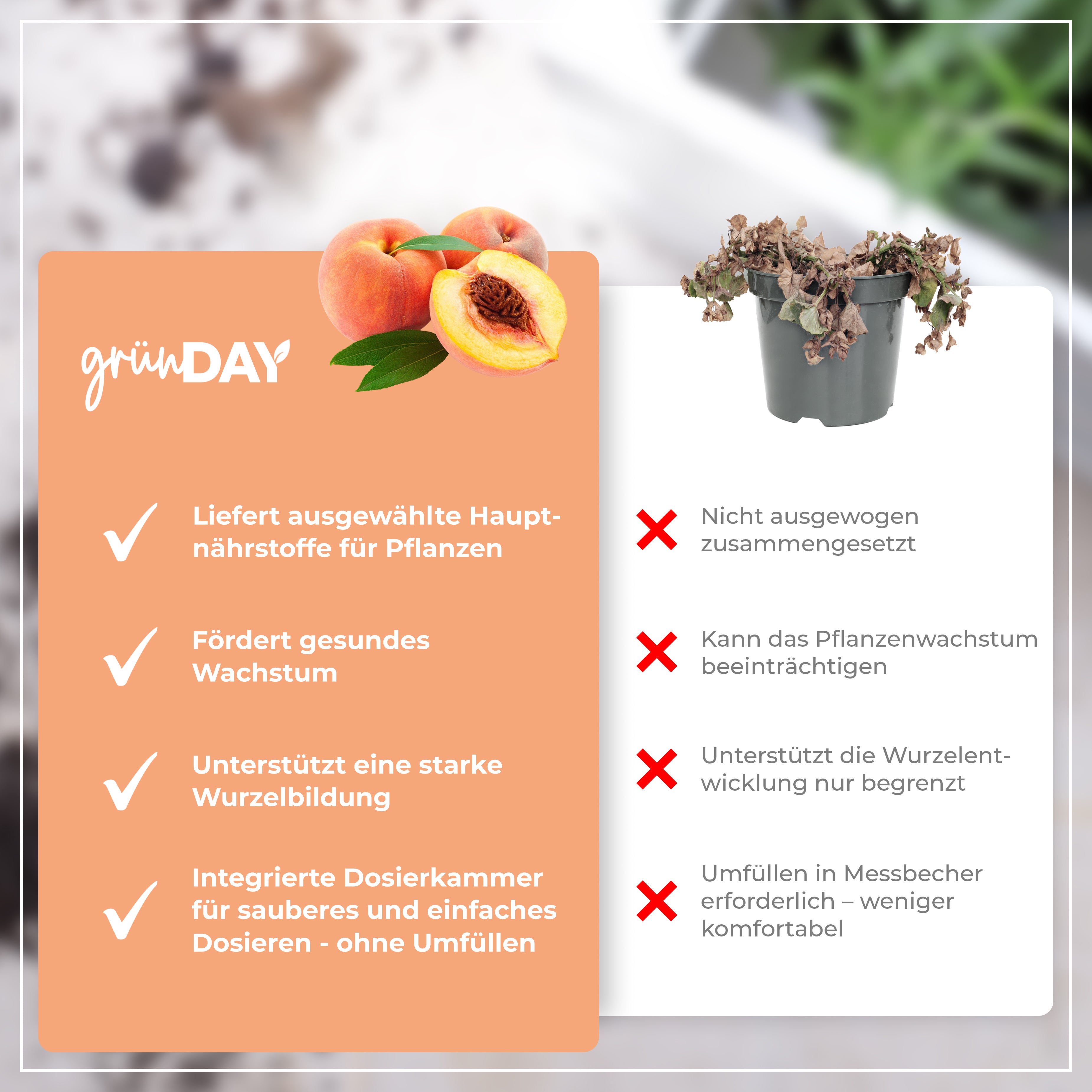 Gründay Pfirsichbaumdünger – Produktansicht 6