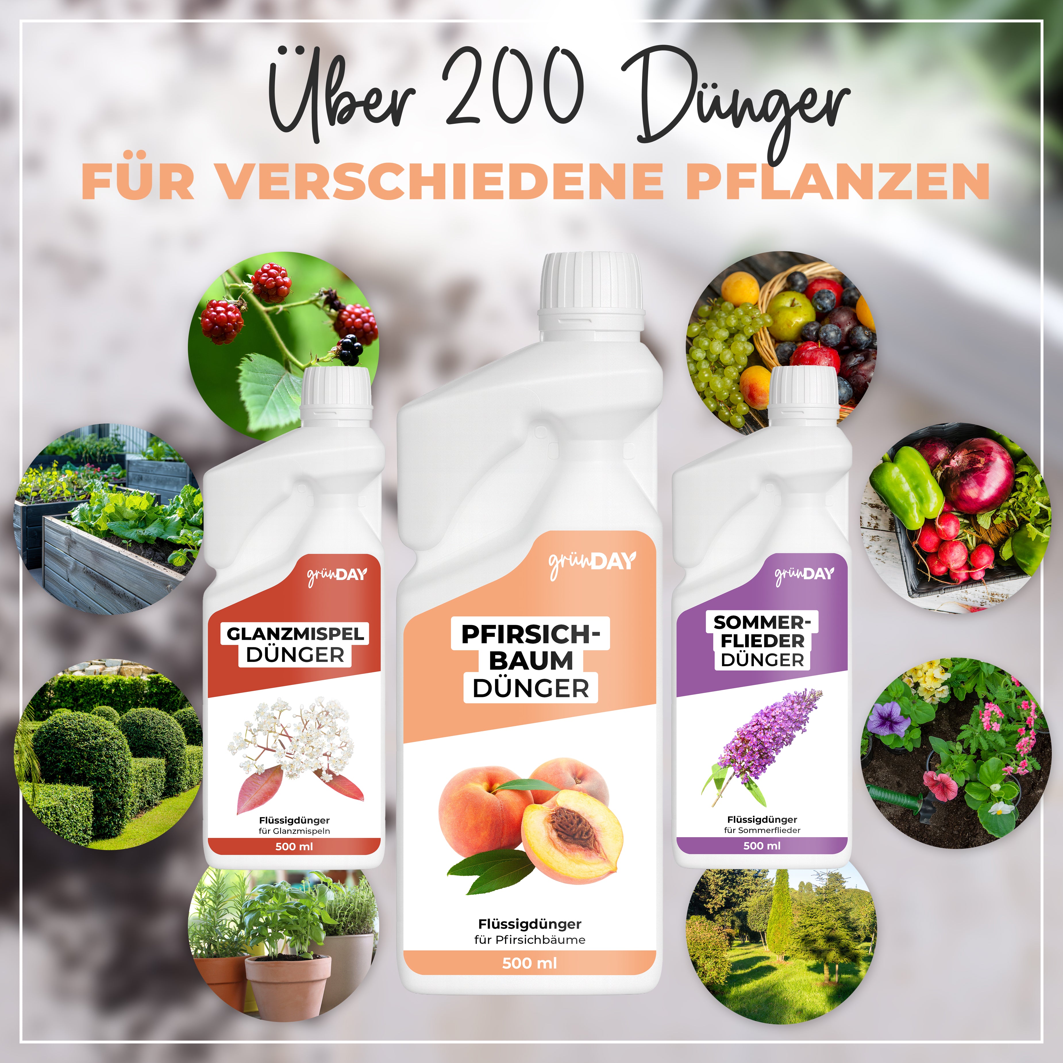 Gründay Pfirsichbaumdünger – Produktansicht 7
