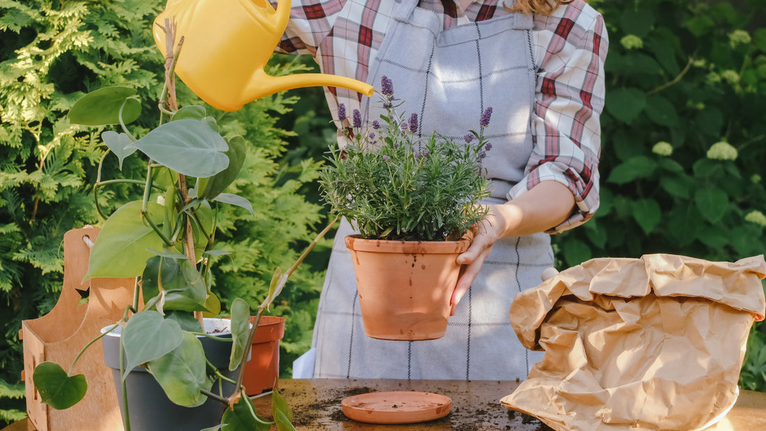 <strong>4. Schritt</strong>