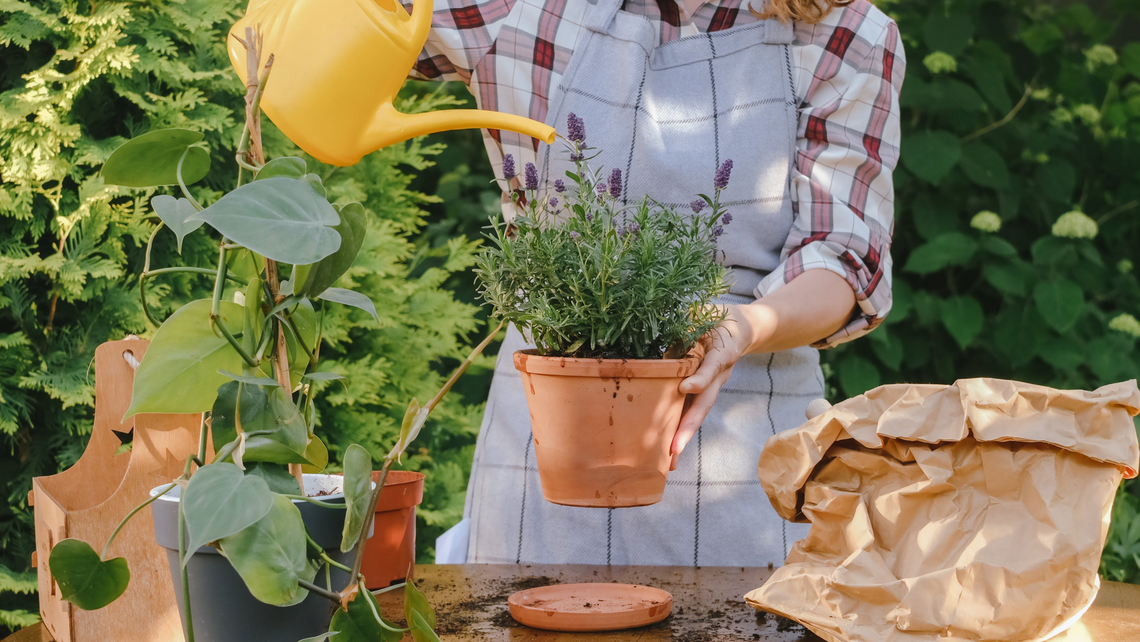 Gründay Pflanzendünger