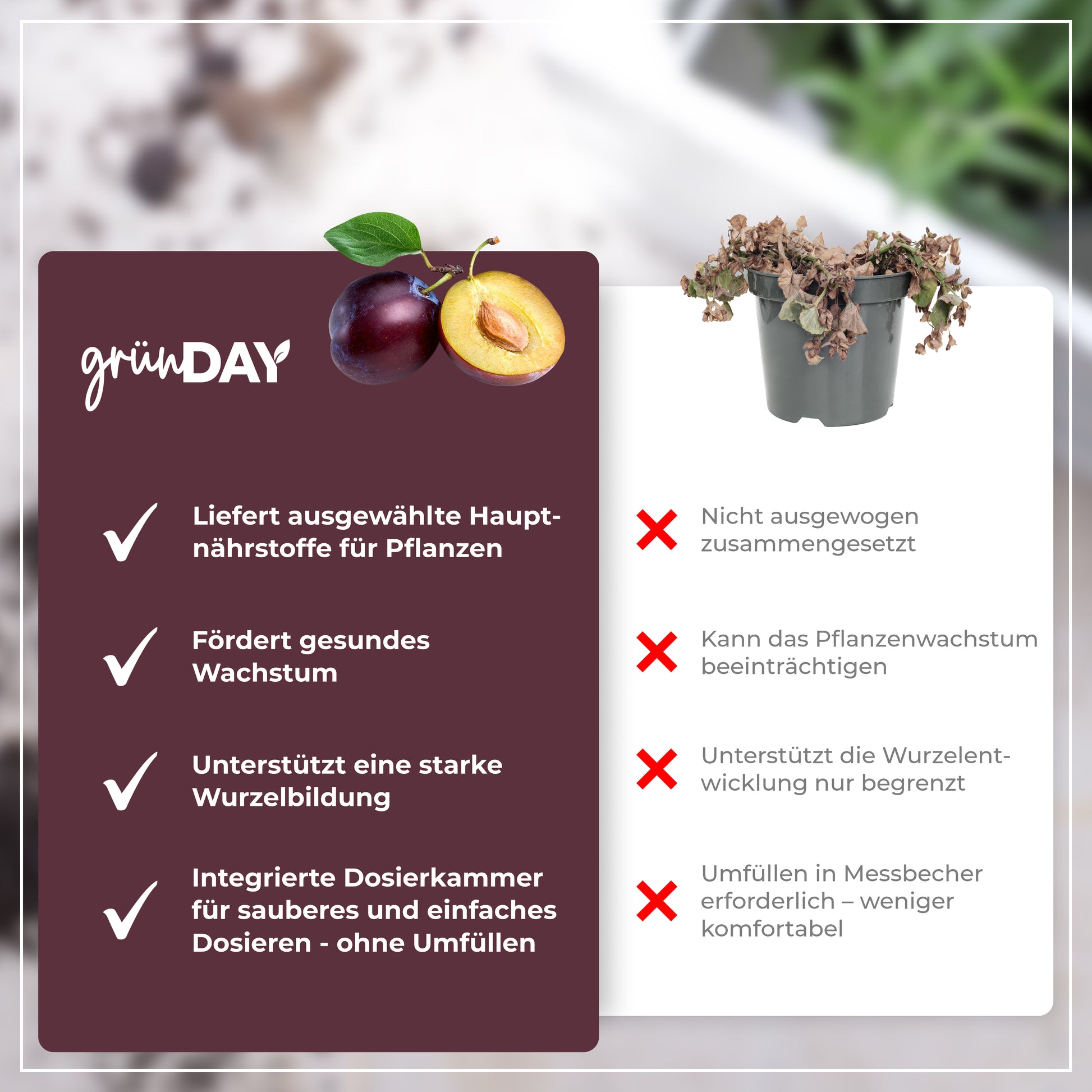 Gründay Pflaumenbaum Dünger – Produktansicht 6