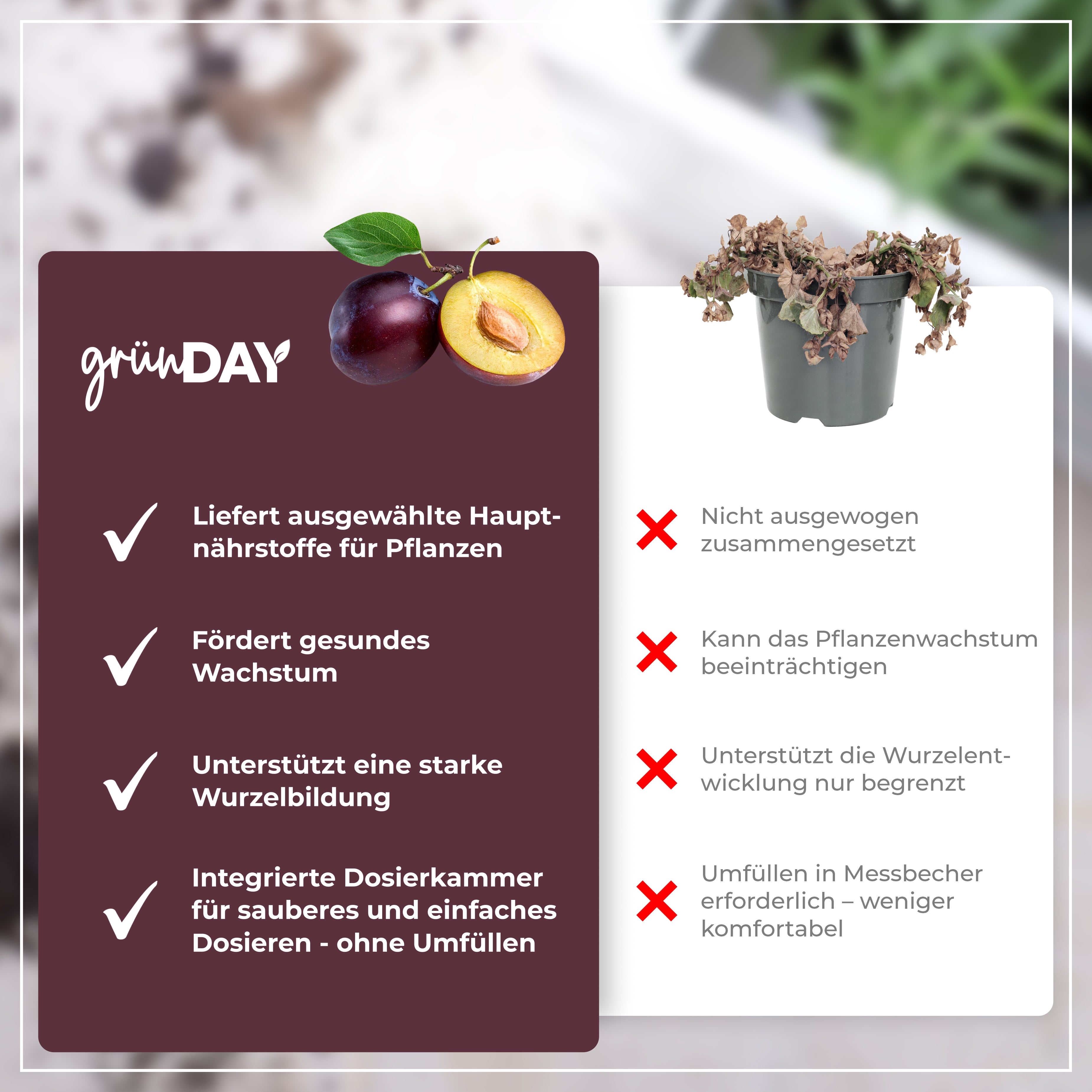 Gründay Pflaumenbaum Dünger – Produktansicht 6