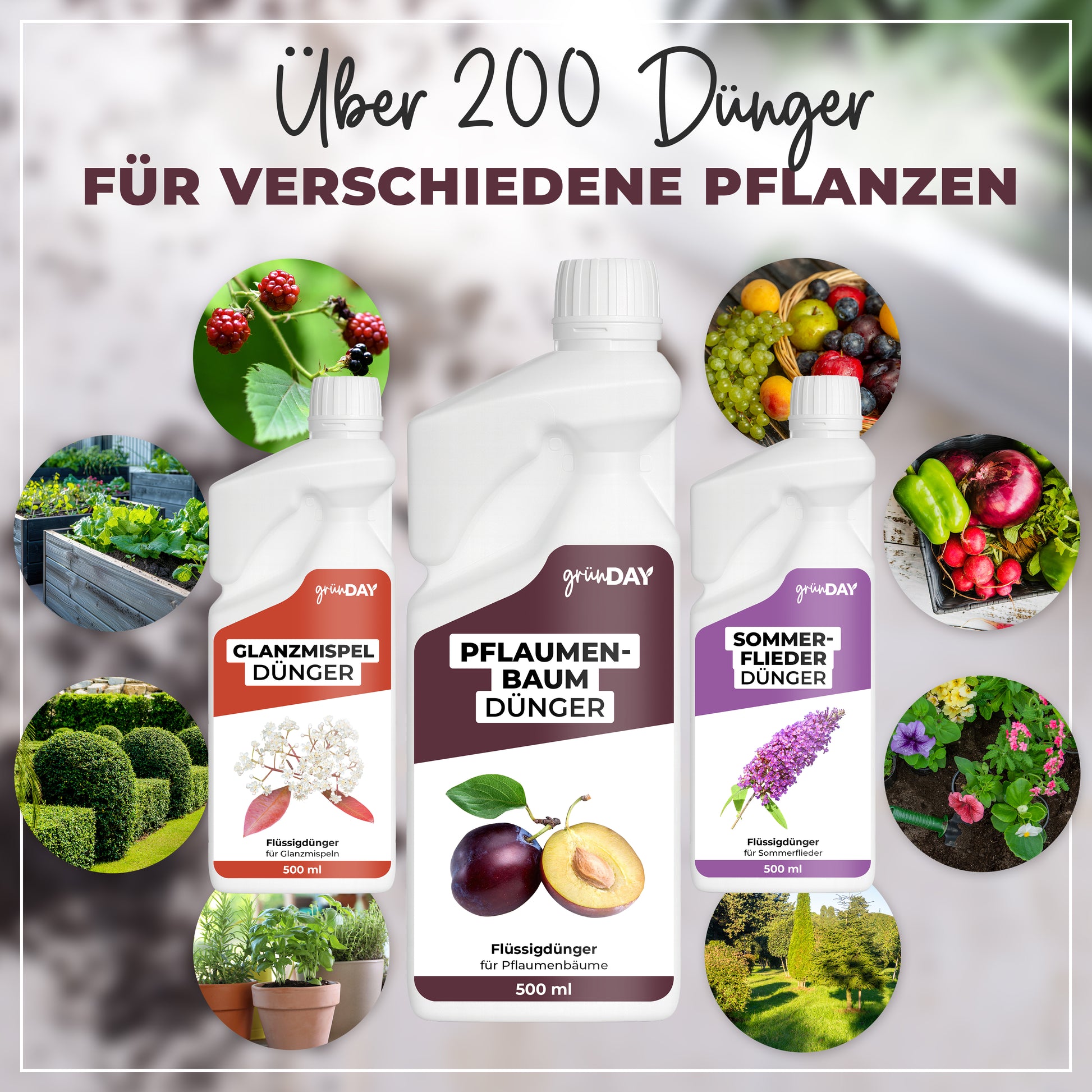 Gründay Pflaumenbaum Dünger – Produktansicht 7