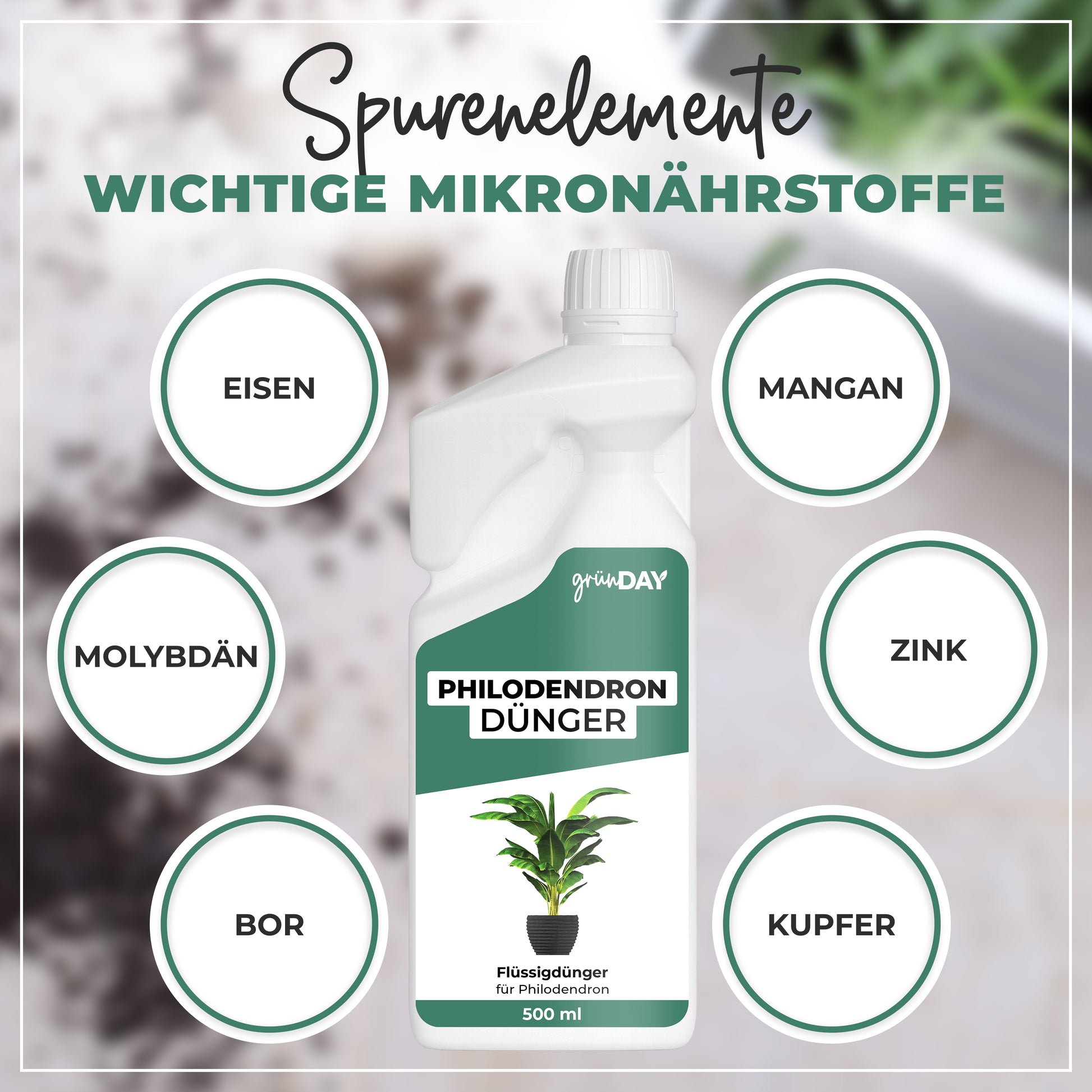 Gründay Philodendrondünger – Produktansicht 5