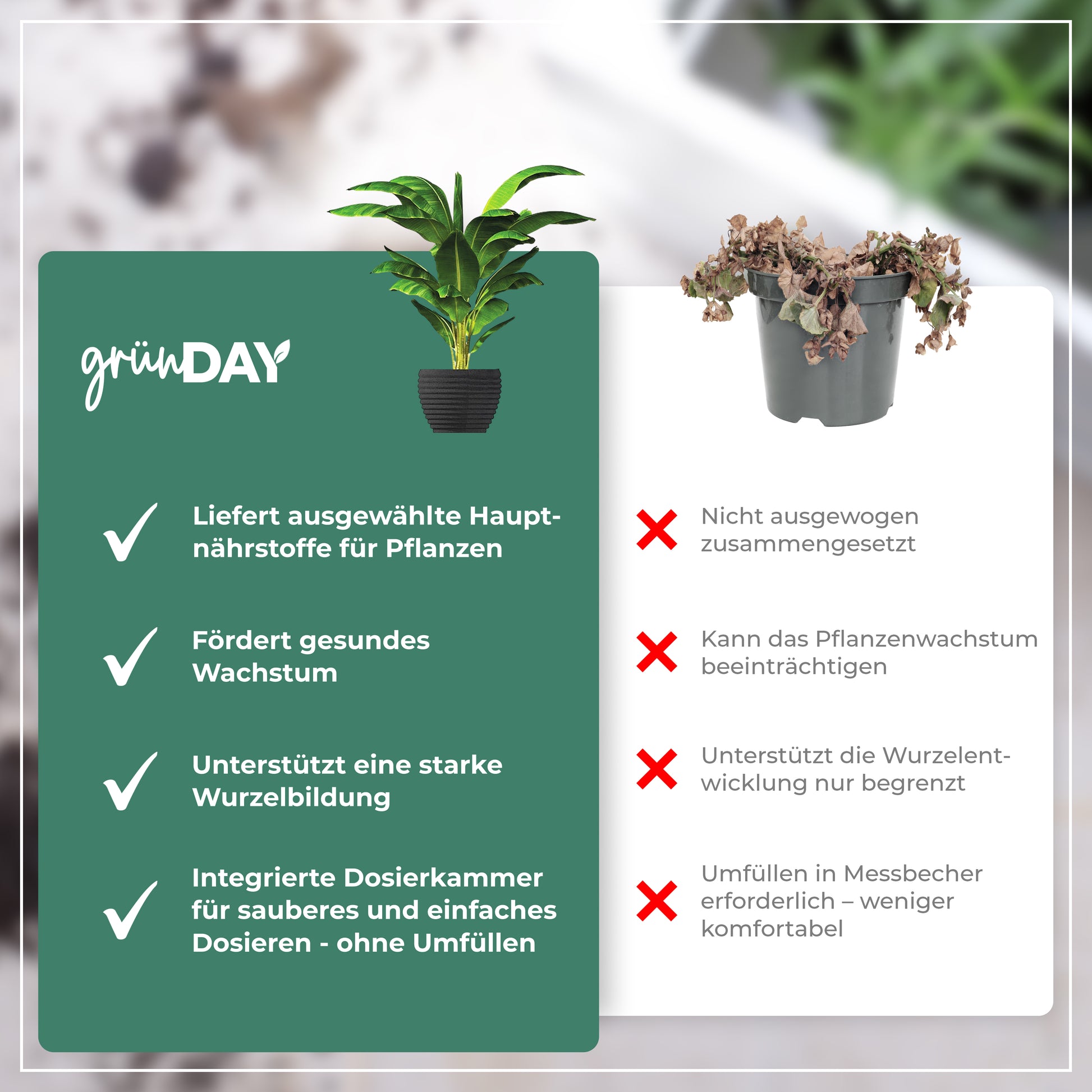 Gründay Philodendrondünger – Produktansicht 6
