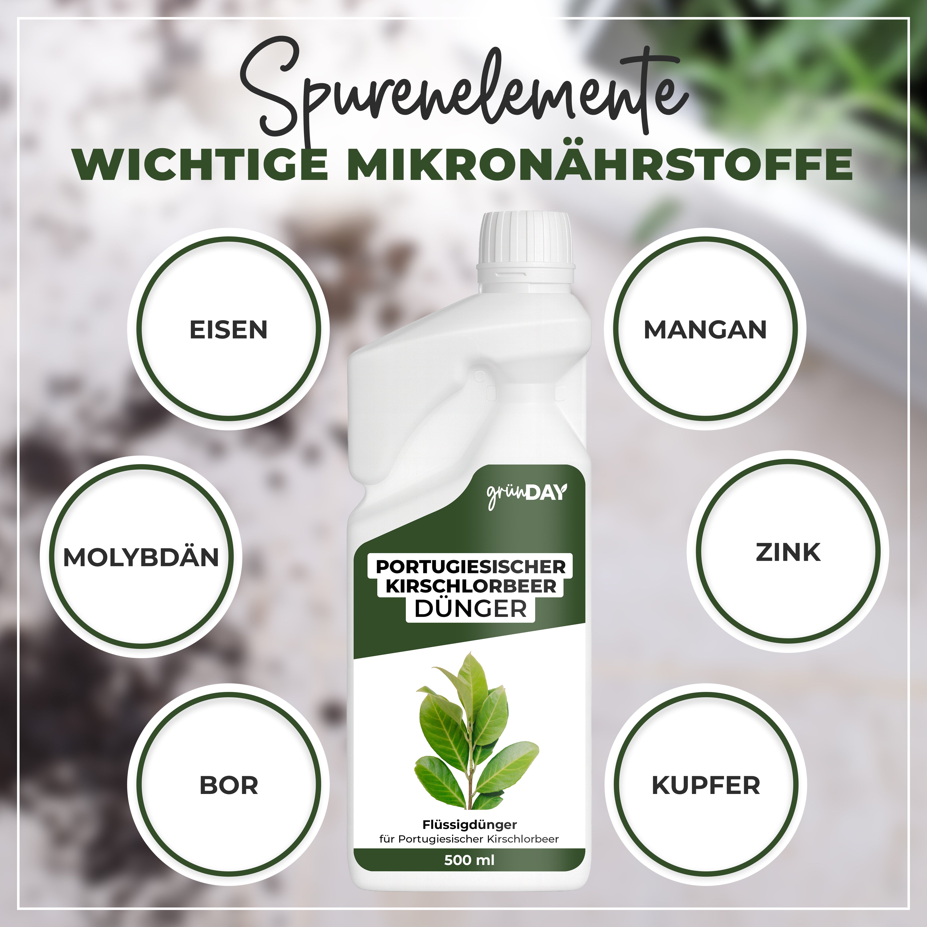 Gründay Portugiesischer Kirschlorbeerdünger – Produktansicht 5