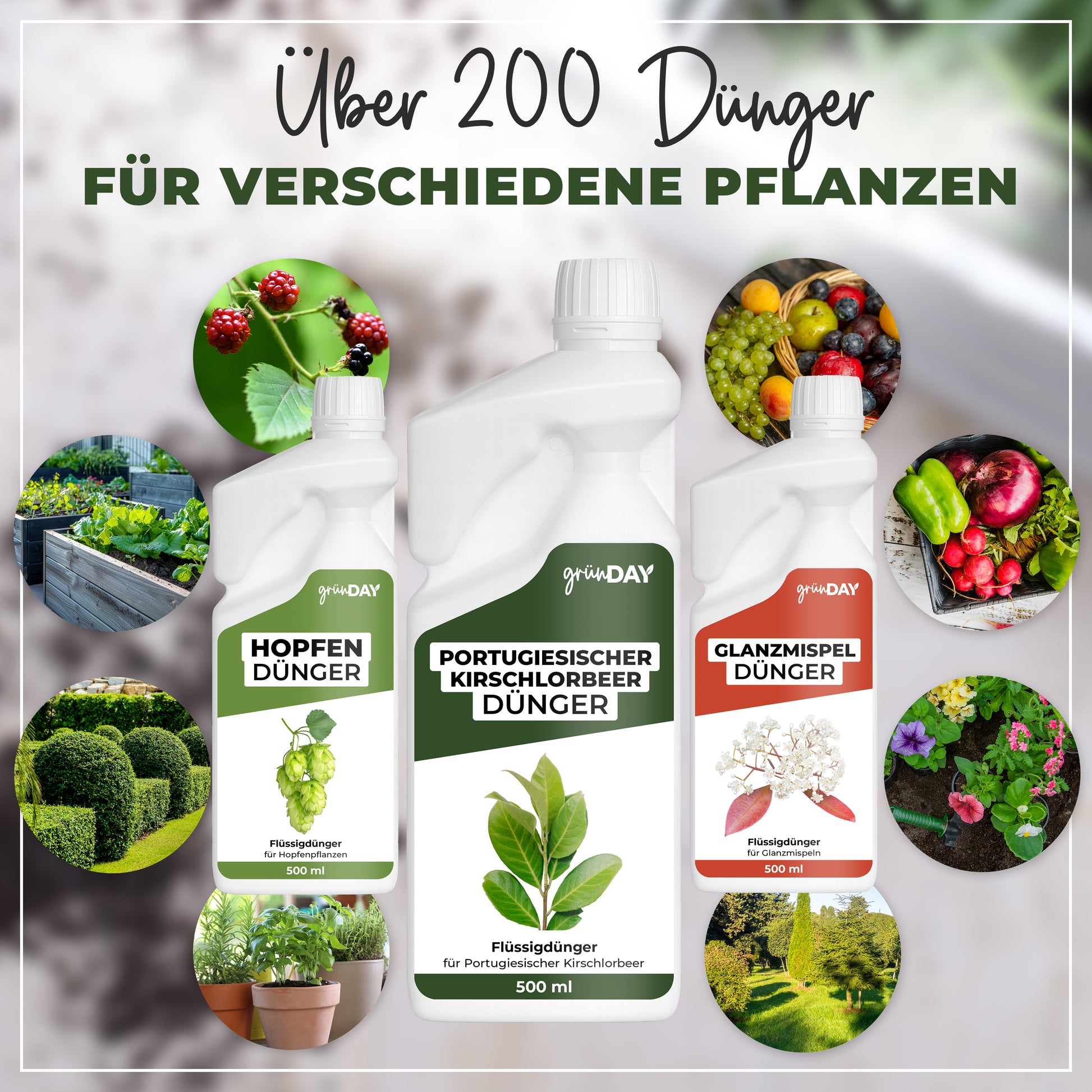 Gründay Portugiesischer Kirschlorbeerdünger – Produktansicht 7