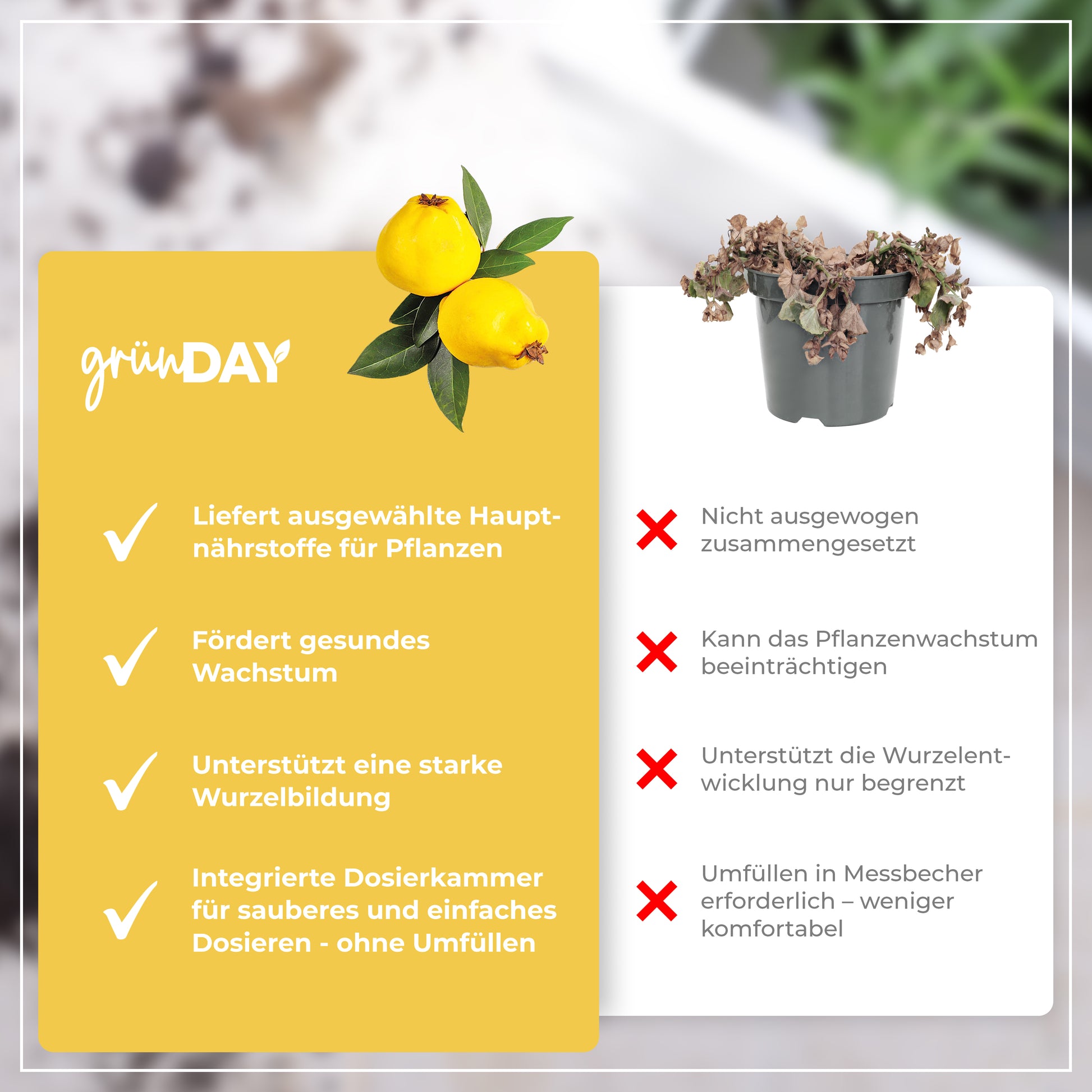 Gründay Quittenbaum Dünger – Produktansicht 6
