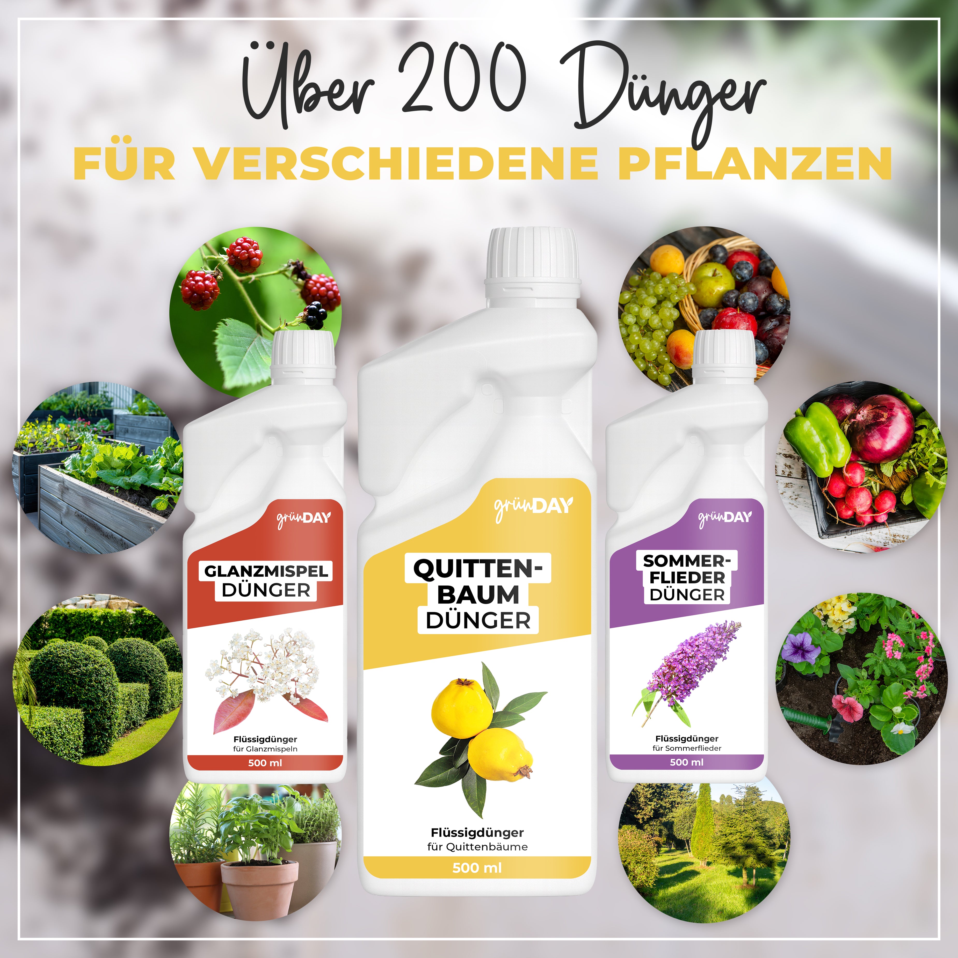 Gründay Quittenbaum Dünger – Produktansicht 7