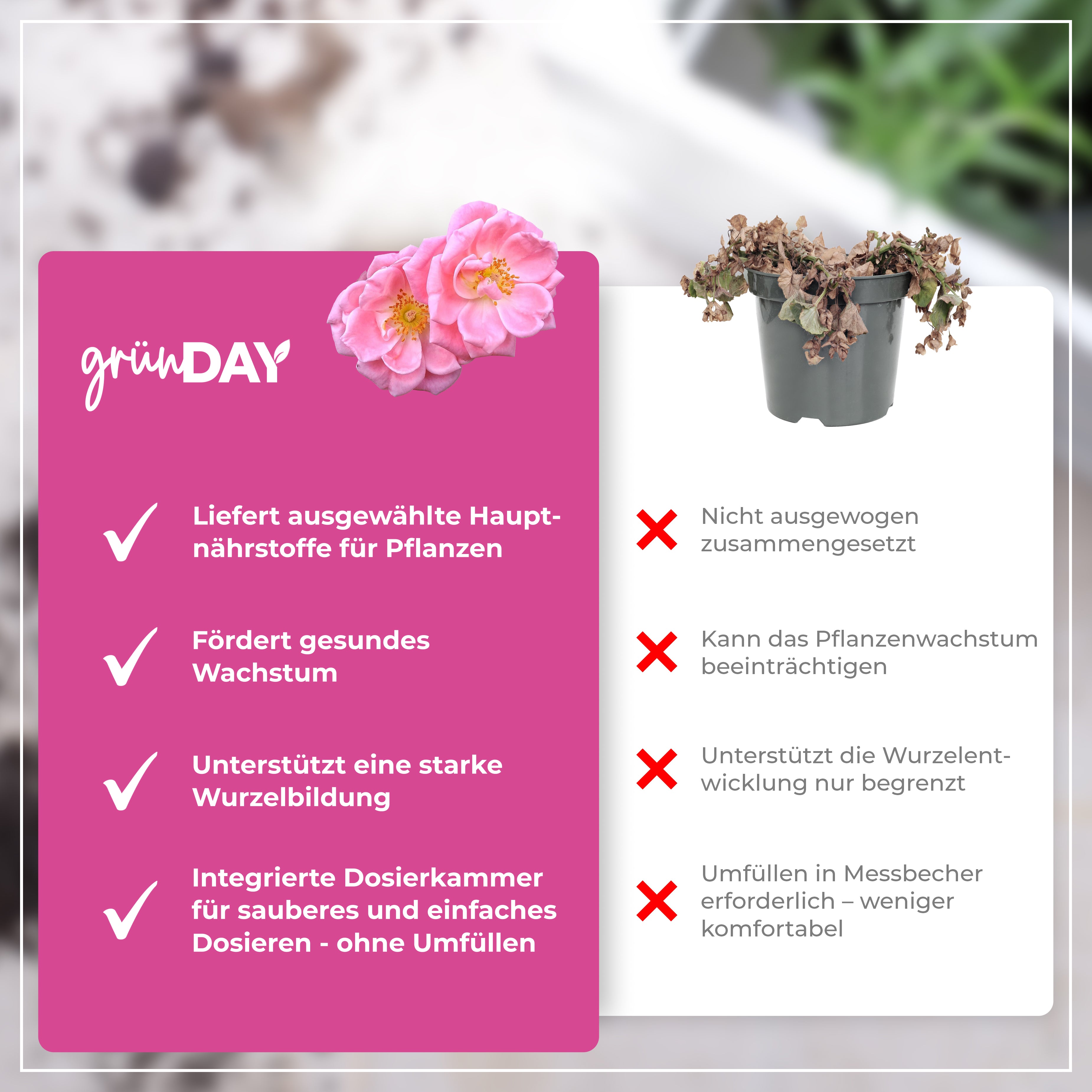 Gründay Ramblerrose Dünger – Produktansicht 6