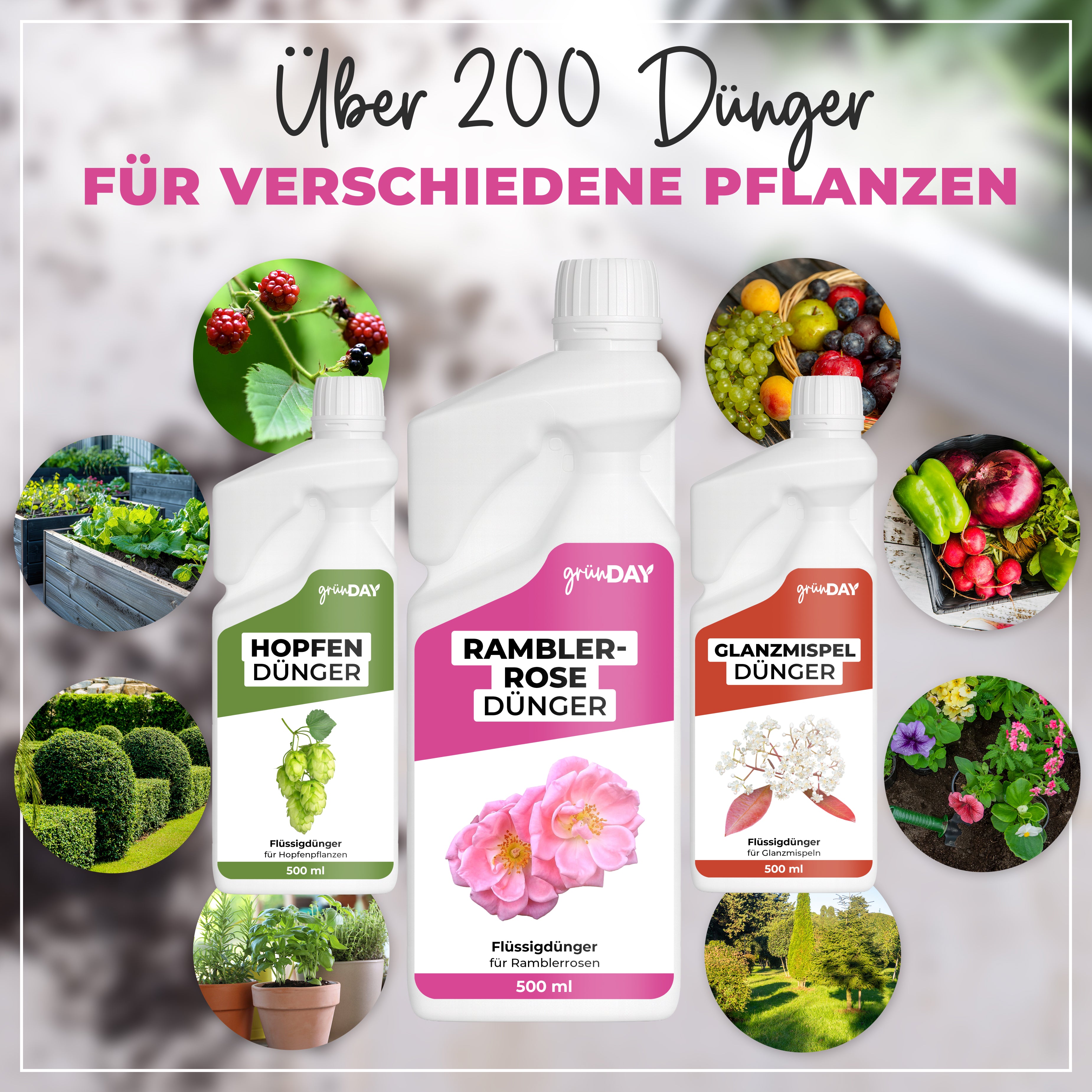 Gründay Ramblerrose Dünger – Produktansicht 7